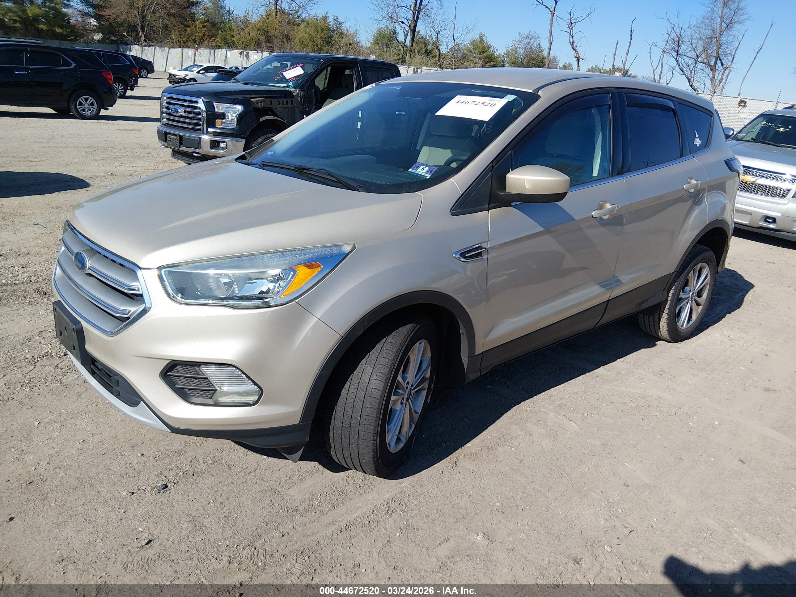 FORD ESCAPE image 2