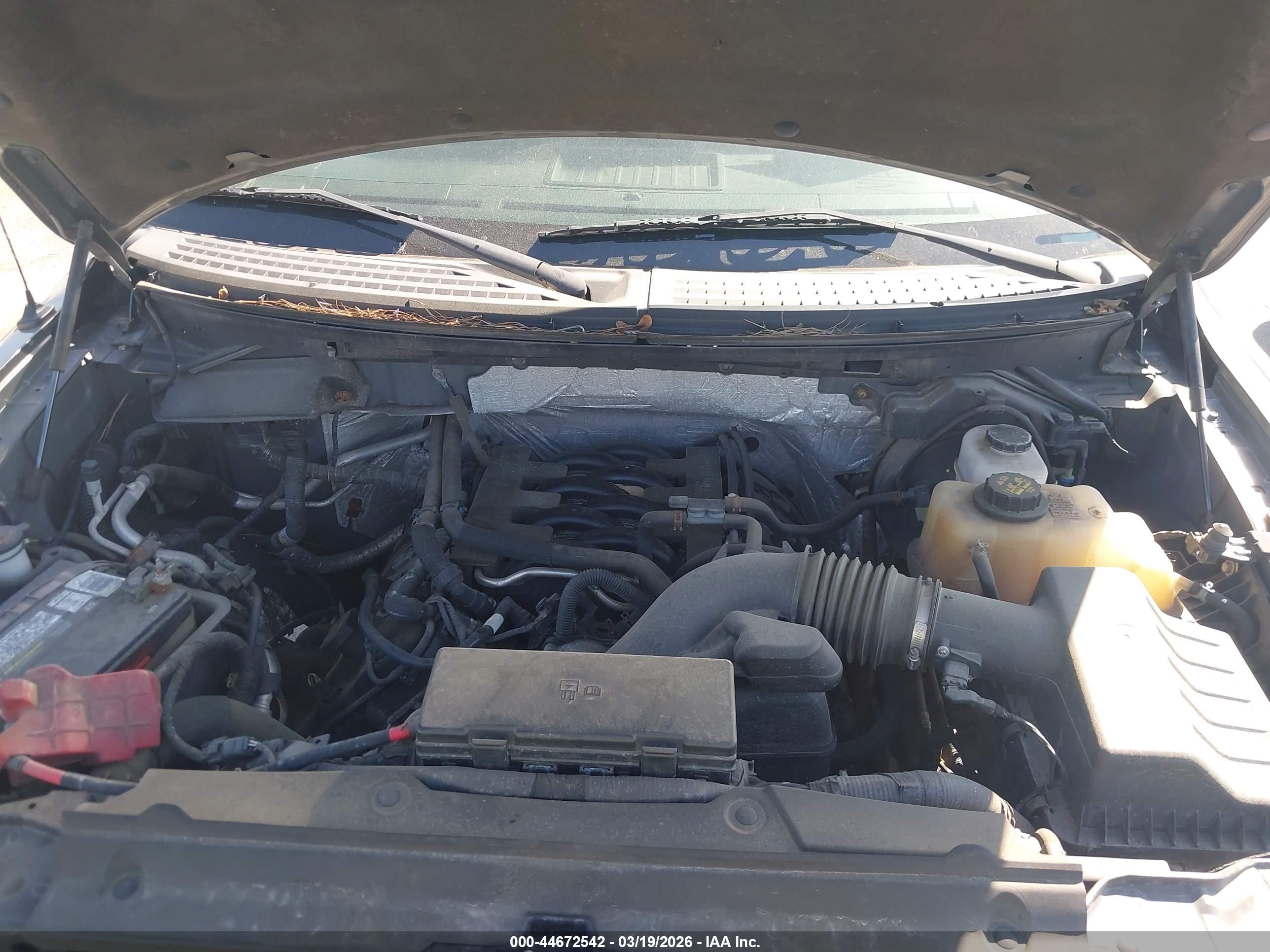 FORD F-150 image 10
