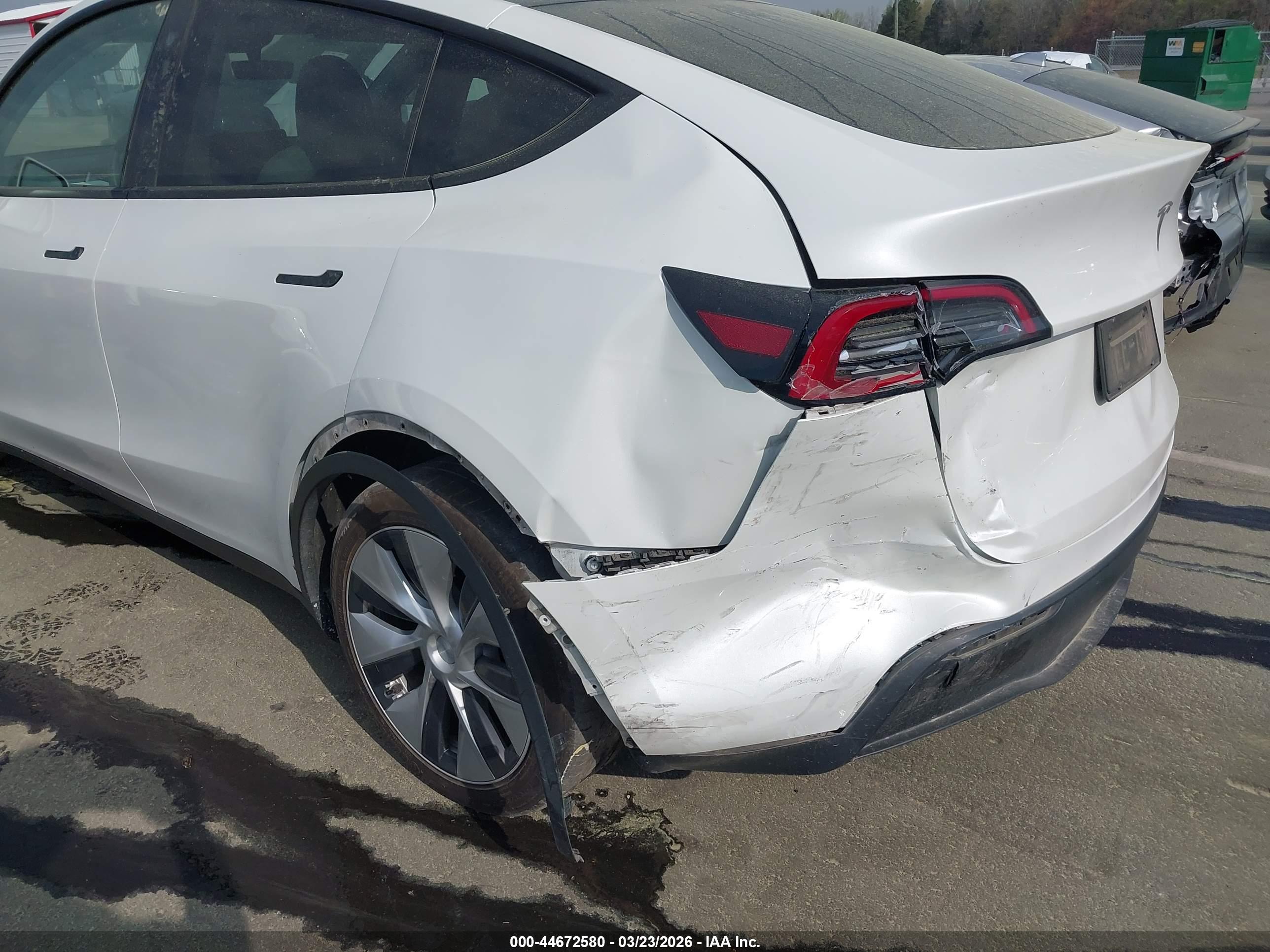 TESLA MODEL image 6