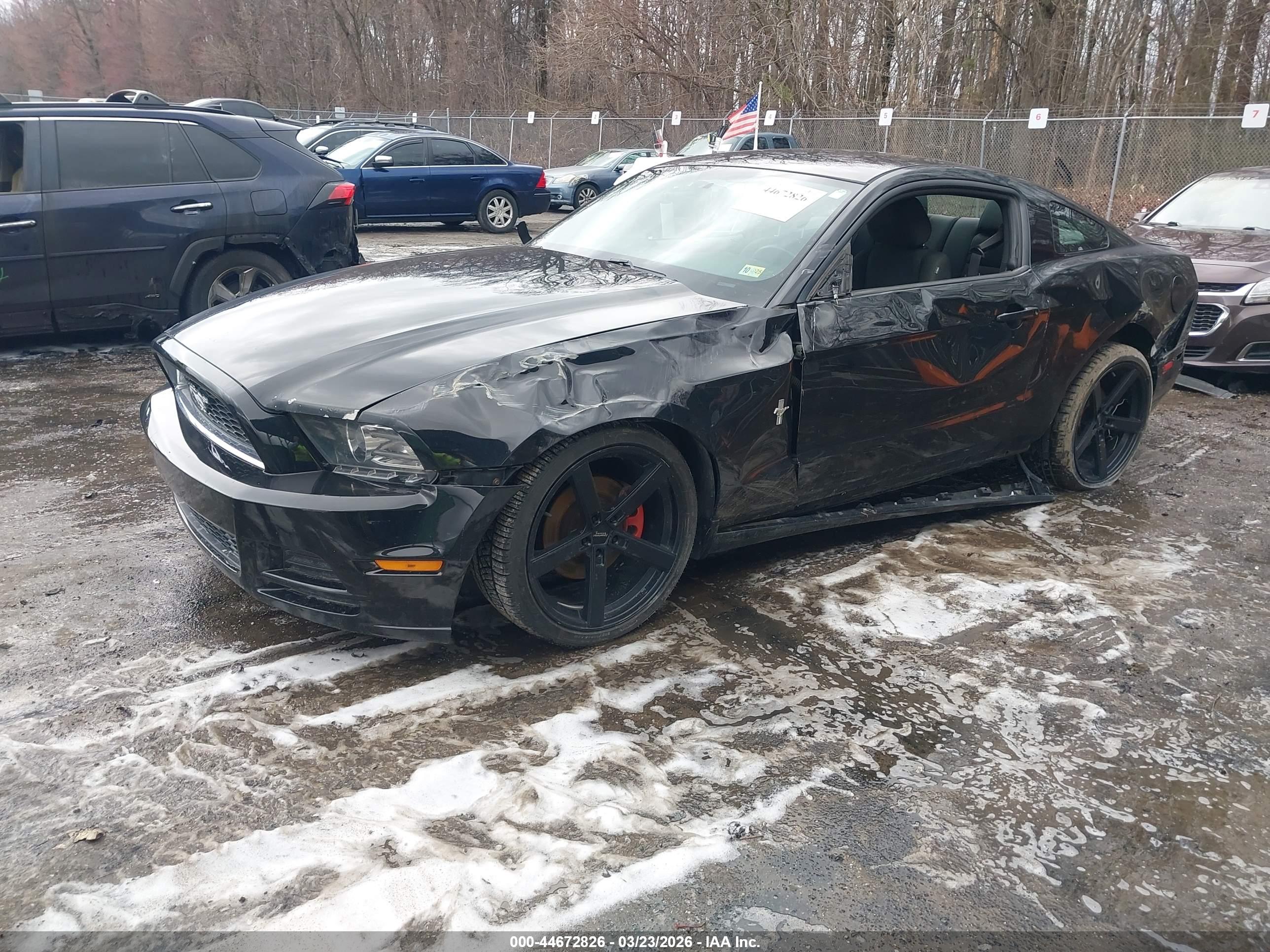 FORD MUSTANG image 2