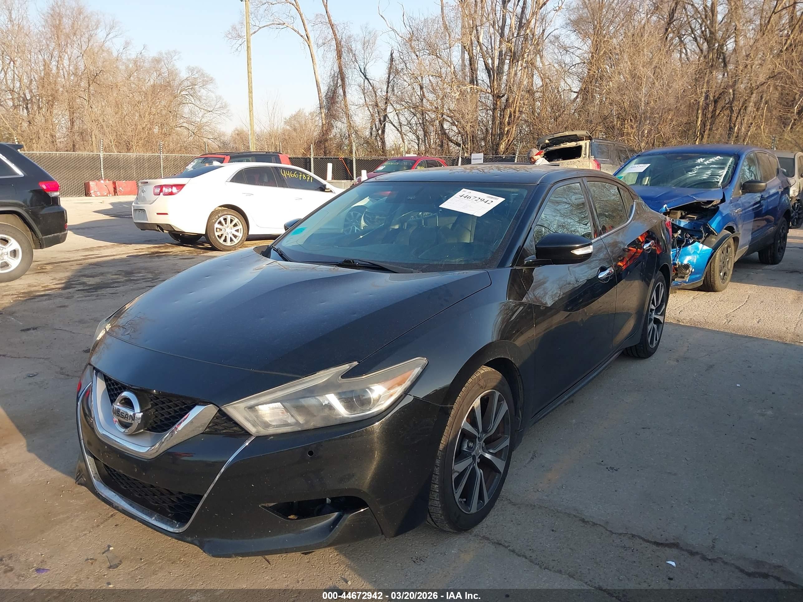 NISSAN MAXIMA image 2
