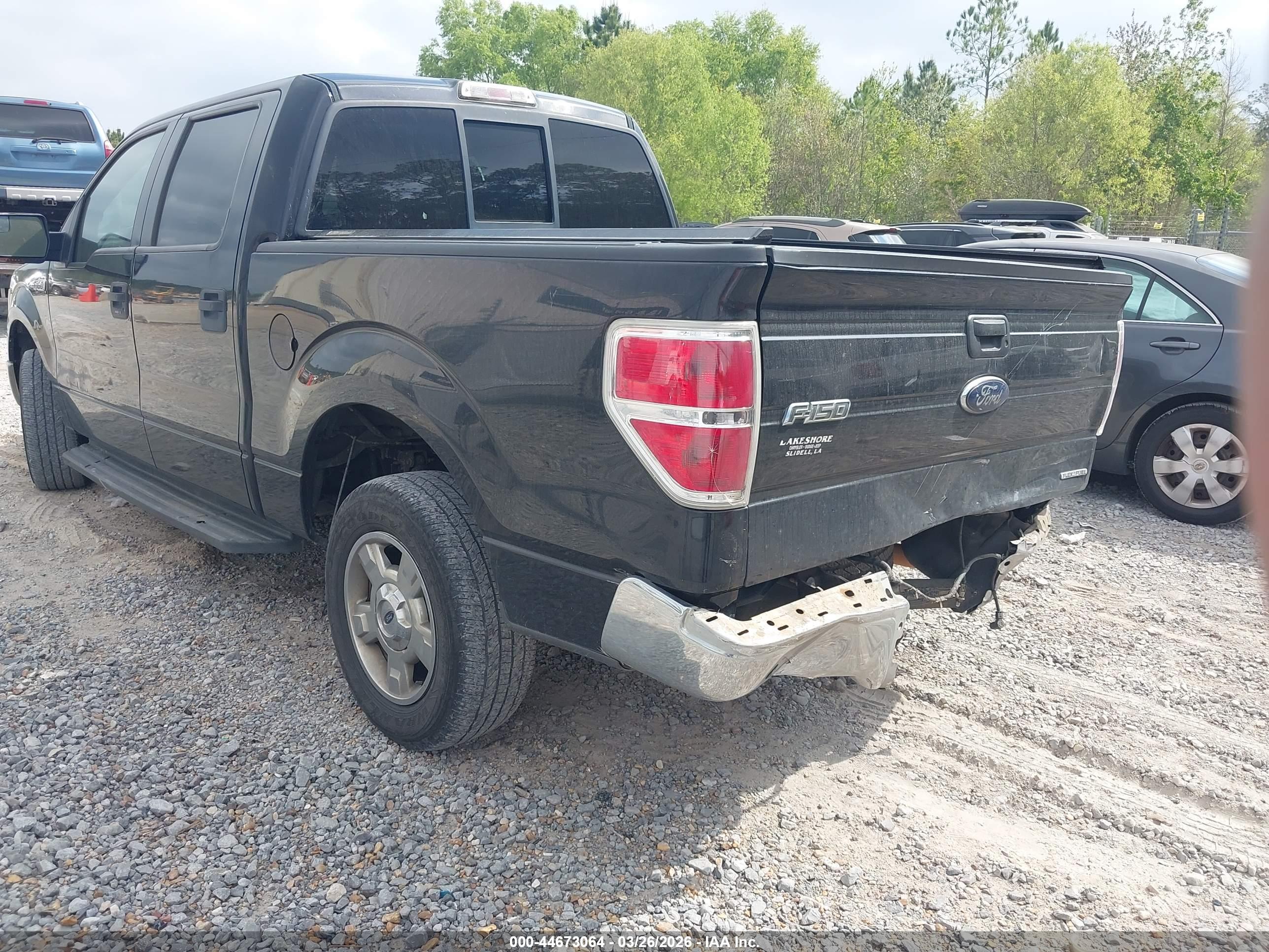 FORD F-150 image 3