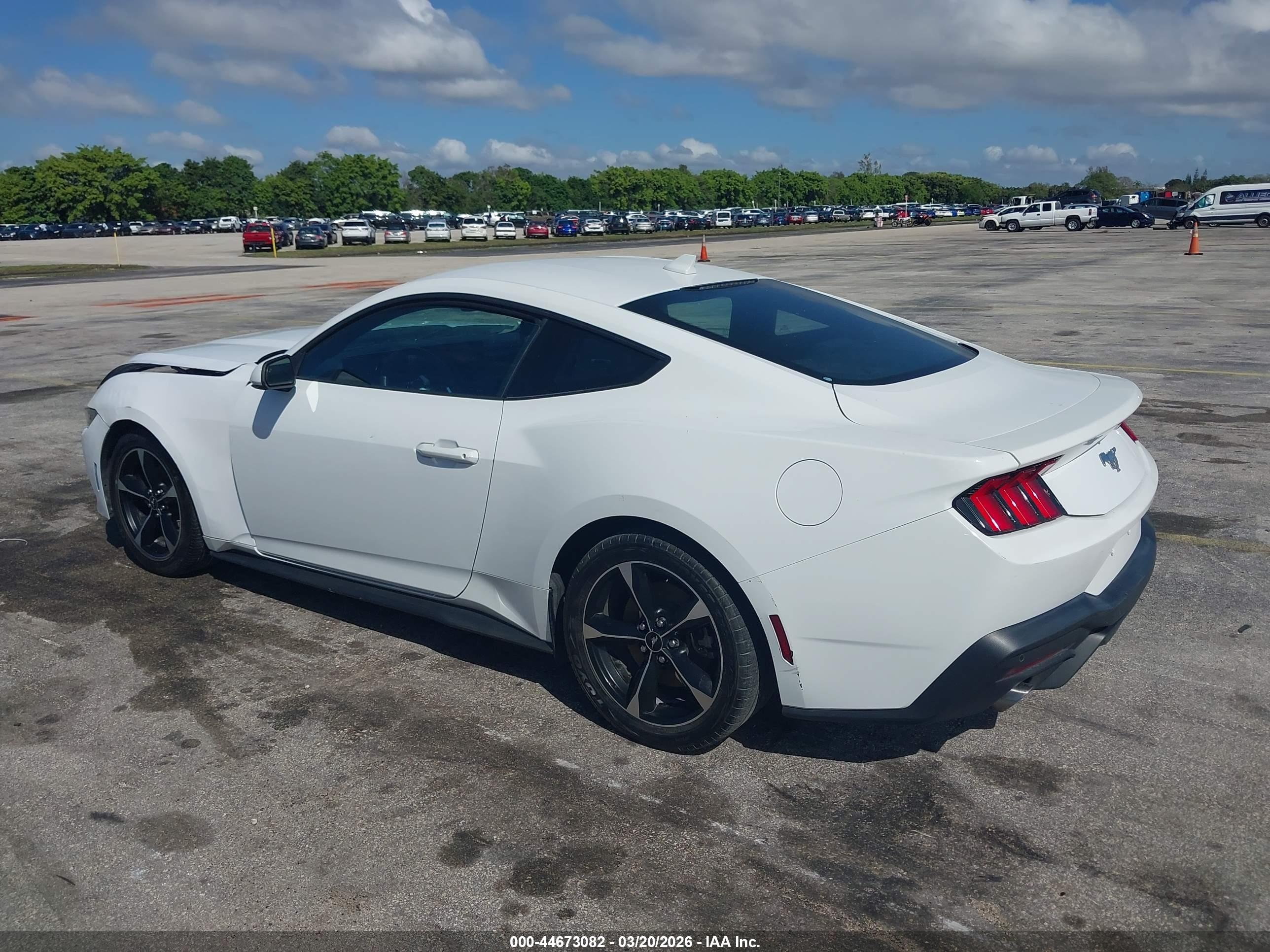 FORD MUSTANG image 3
