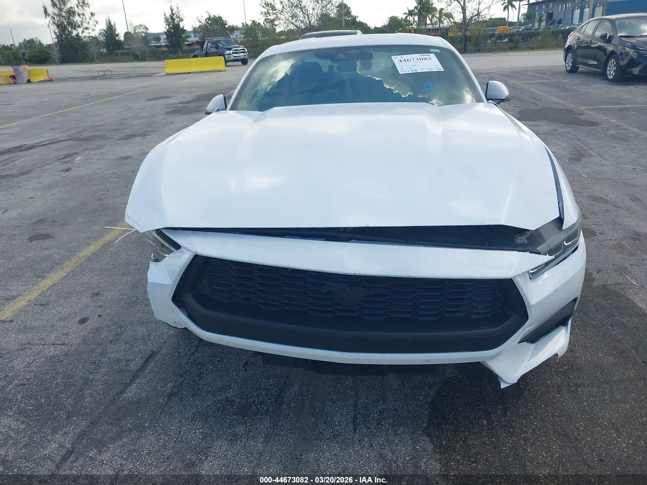 FORD MUSTANG image 6