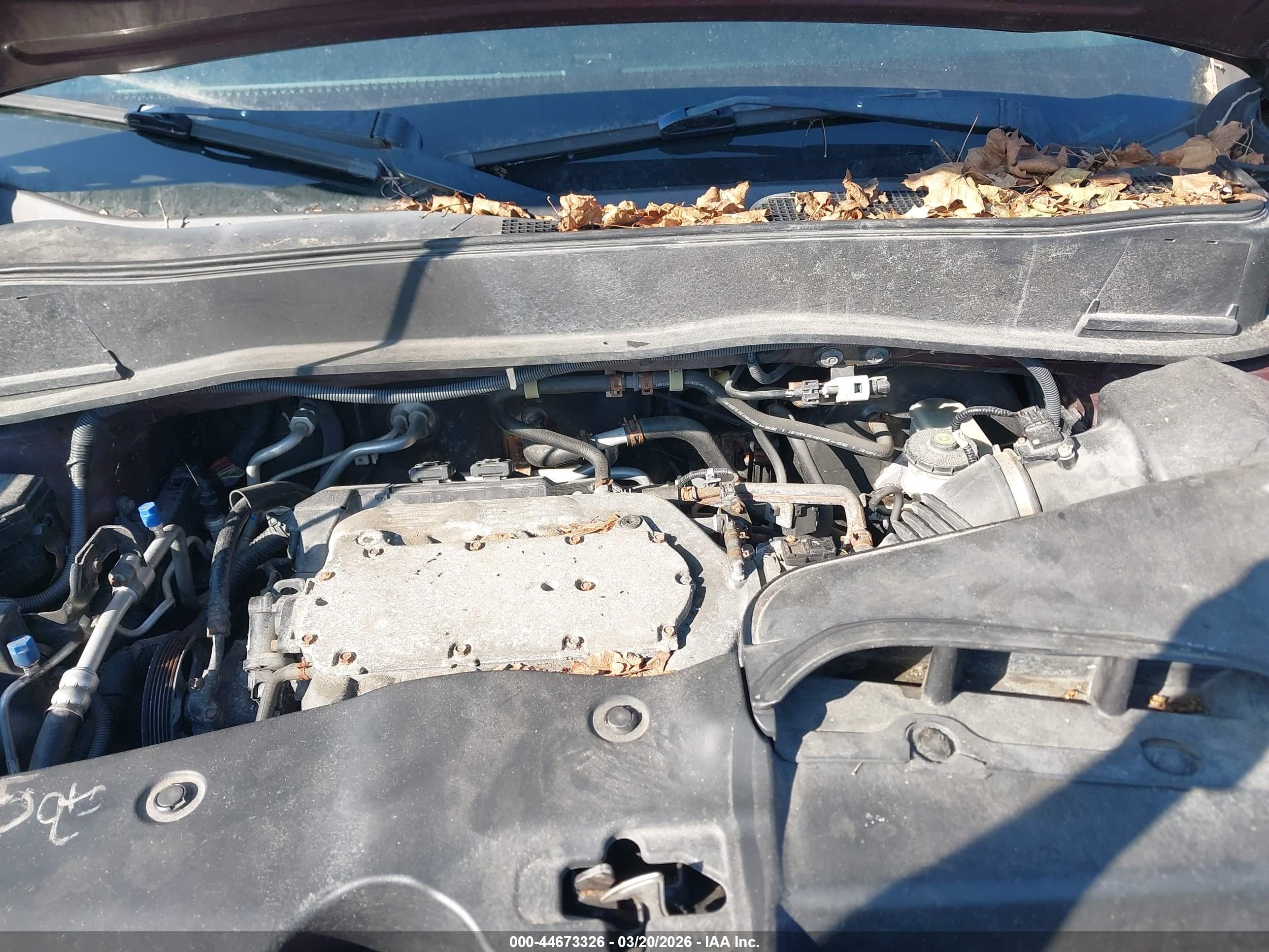 HONDA PILOT image 10