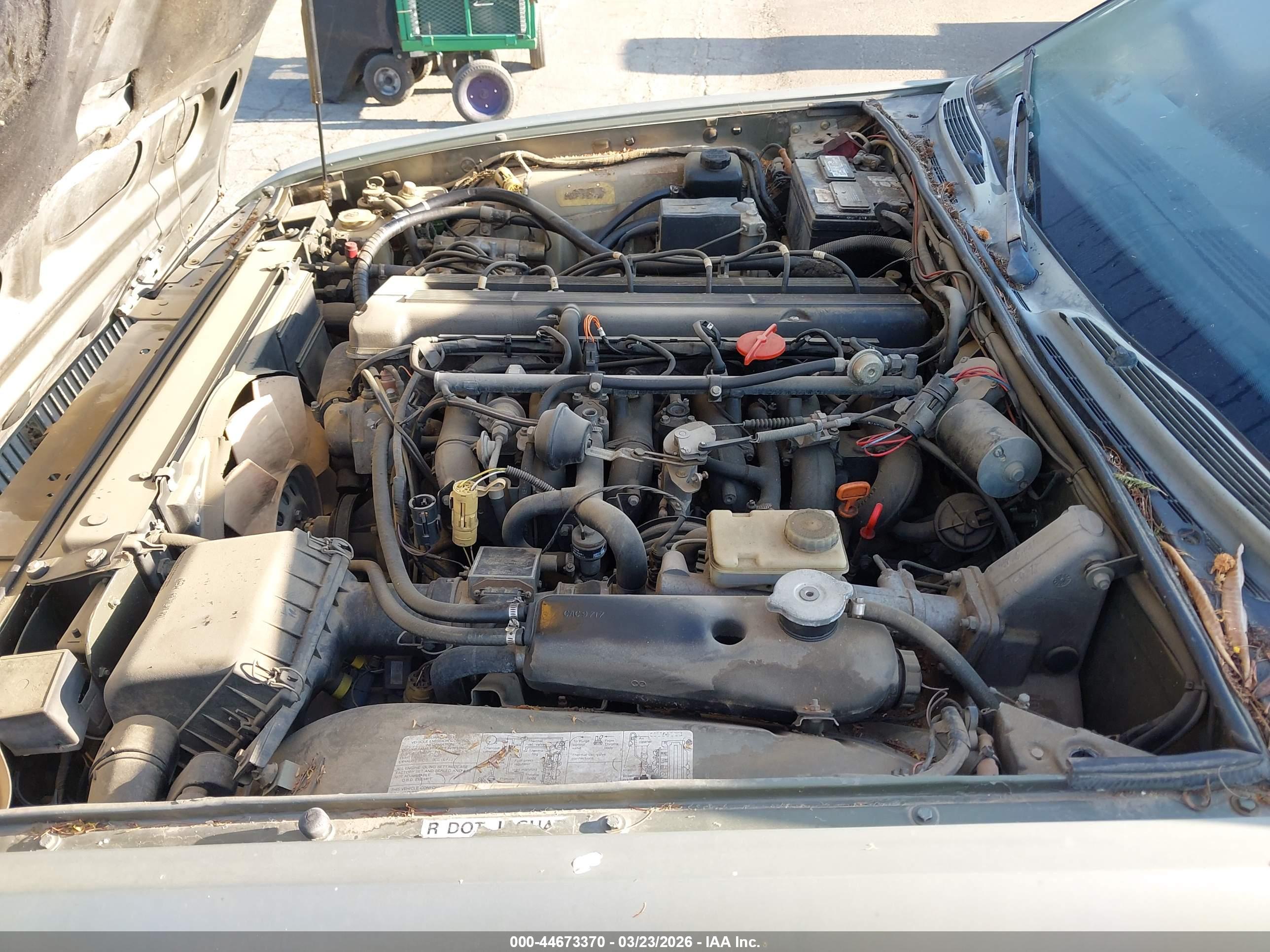 JAGUAR VANDENPLAS image 10
