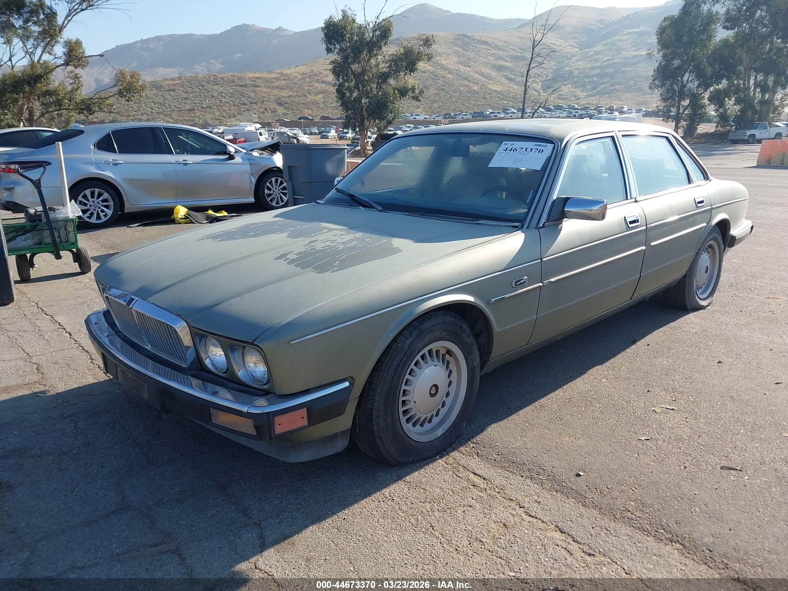 JAGUAR VANDENPLAS image 2