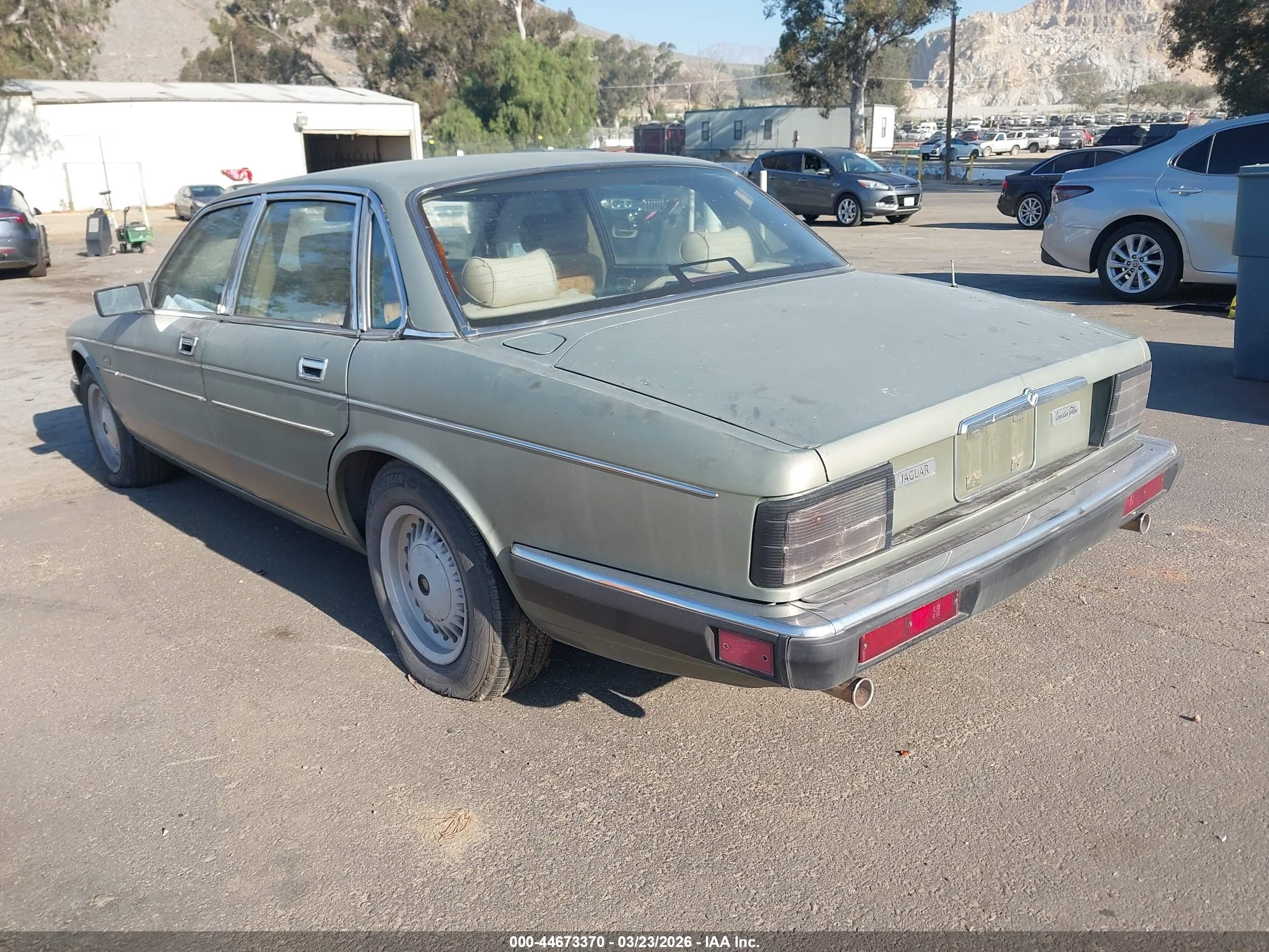 JAGUAR VANDENPLAS image 3