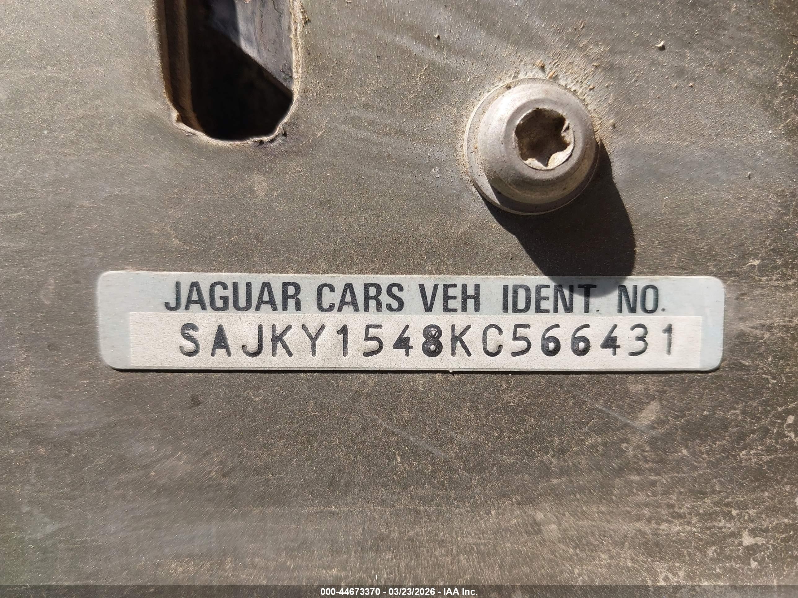JAGUAR VANDENPLAS image 9