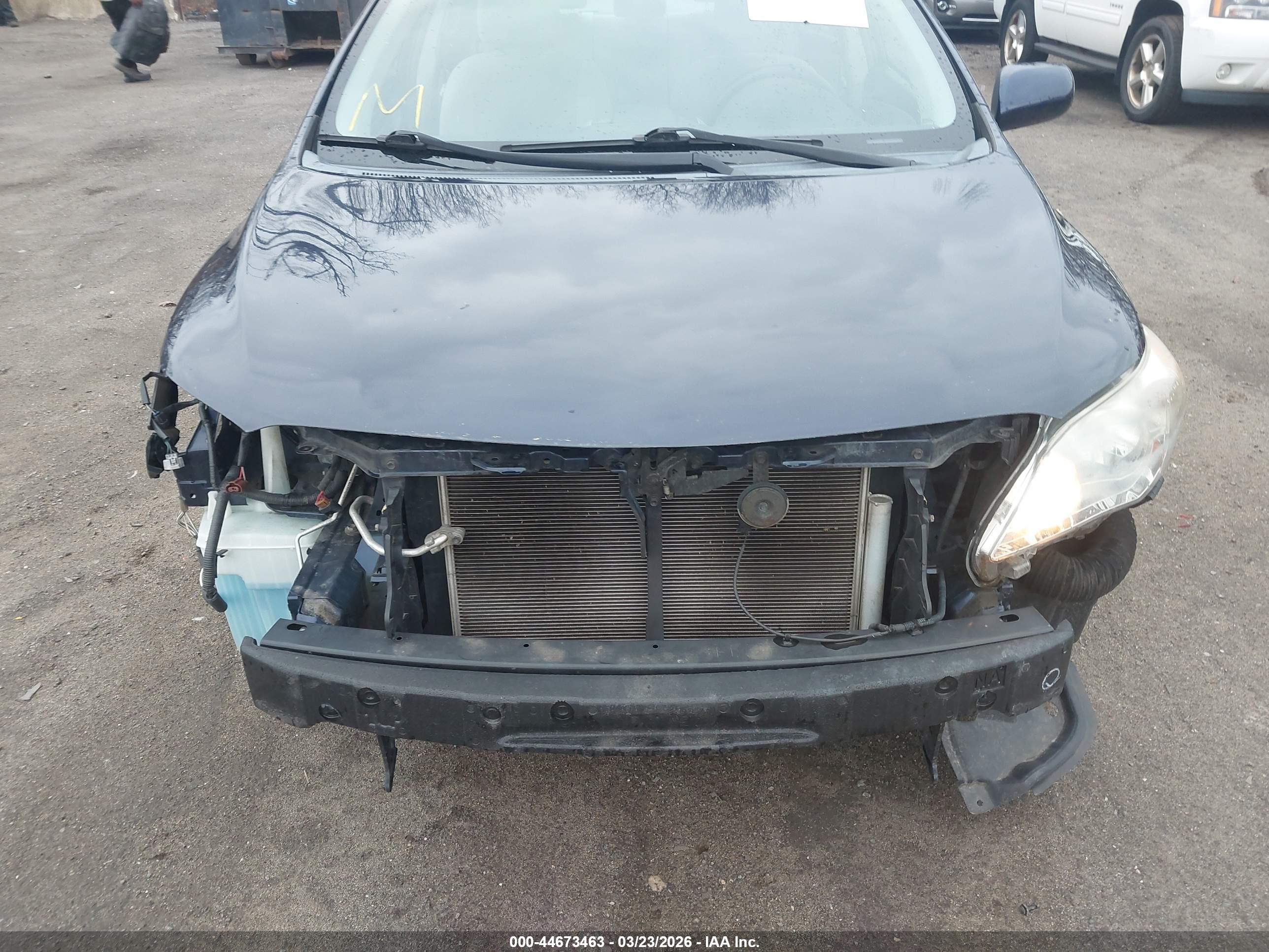 TOYOTA COROLLA image 6