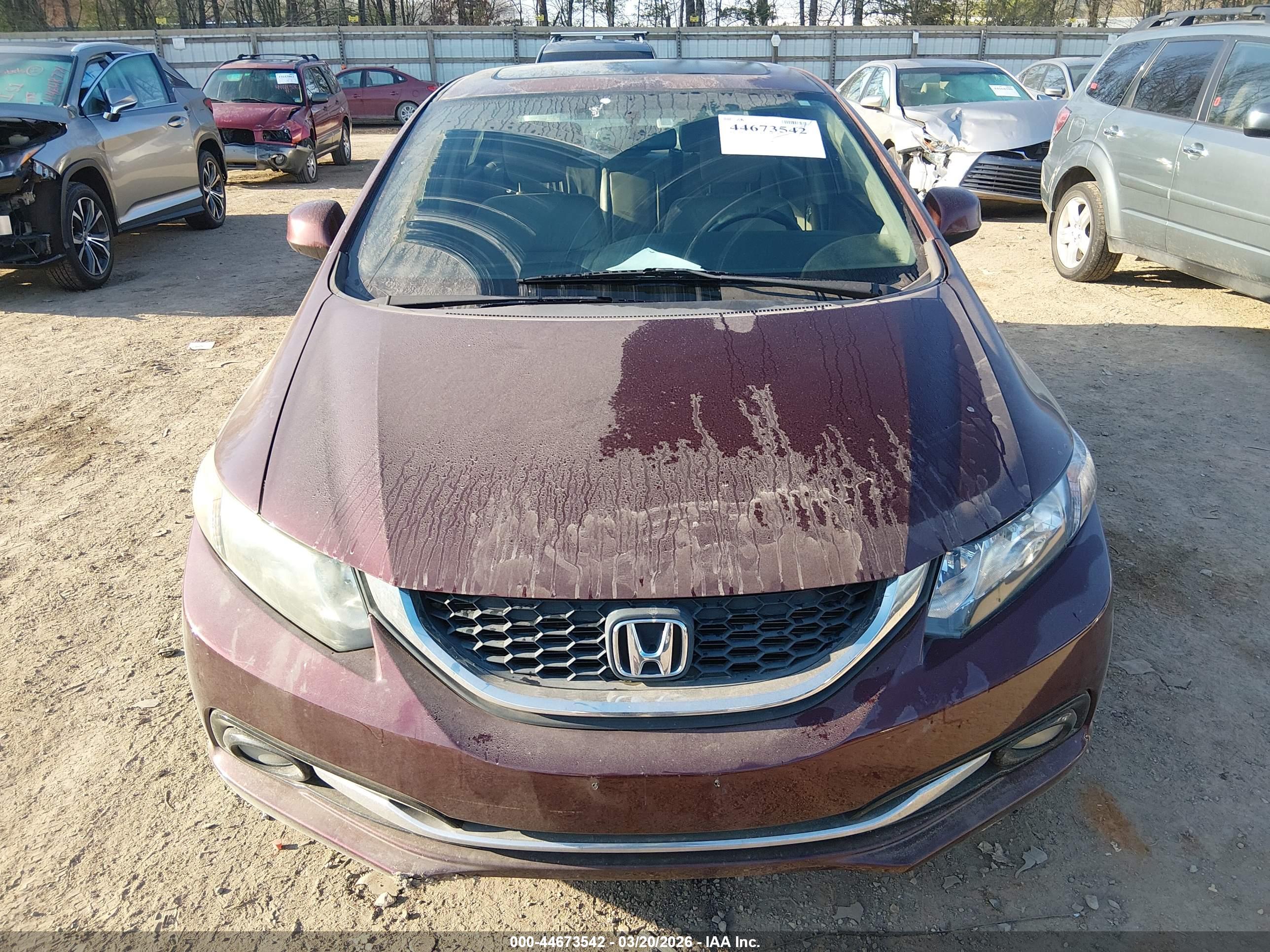 HONDA CIVIC image 6