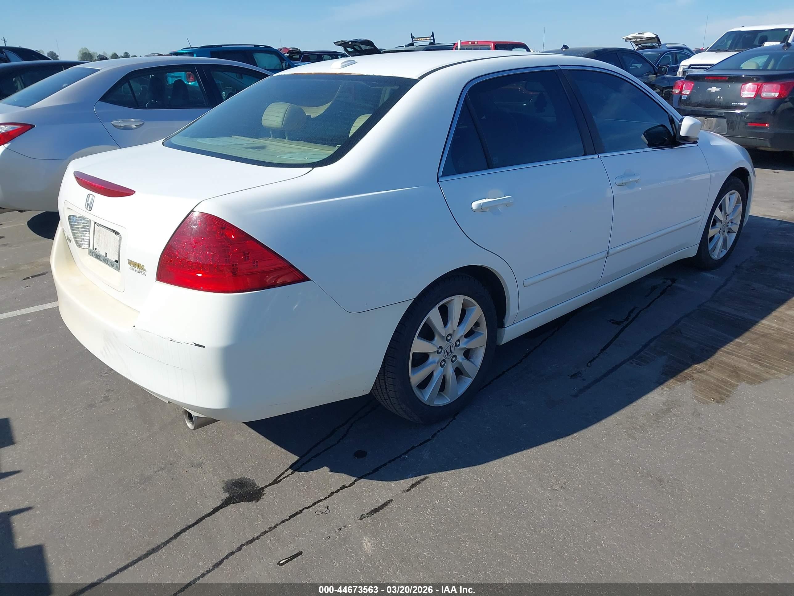 HONDA ACCORD image 4