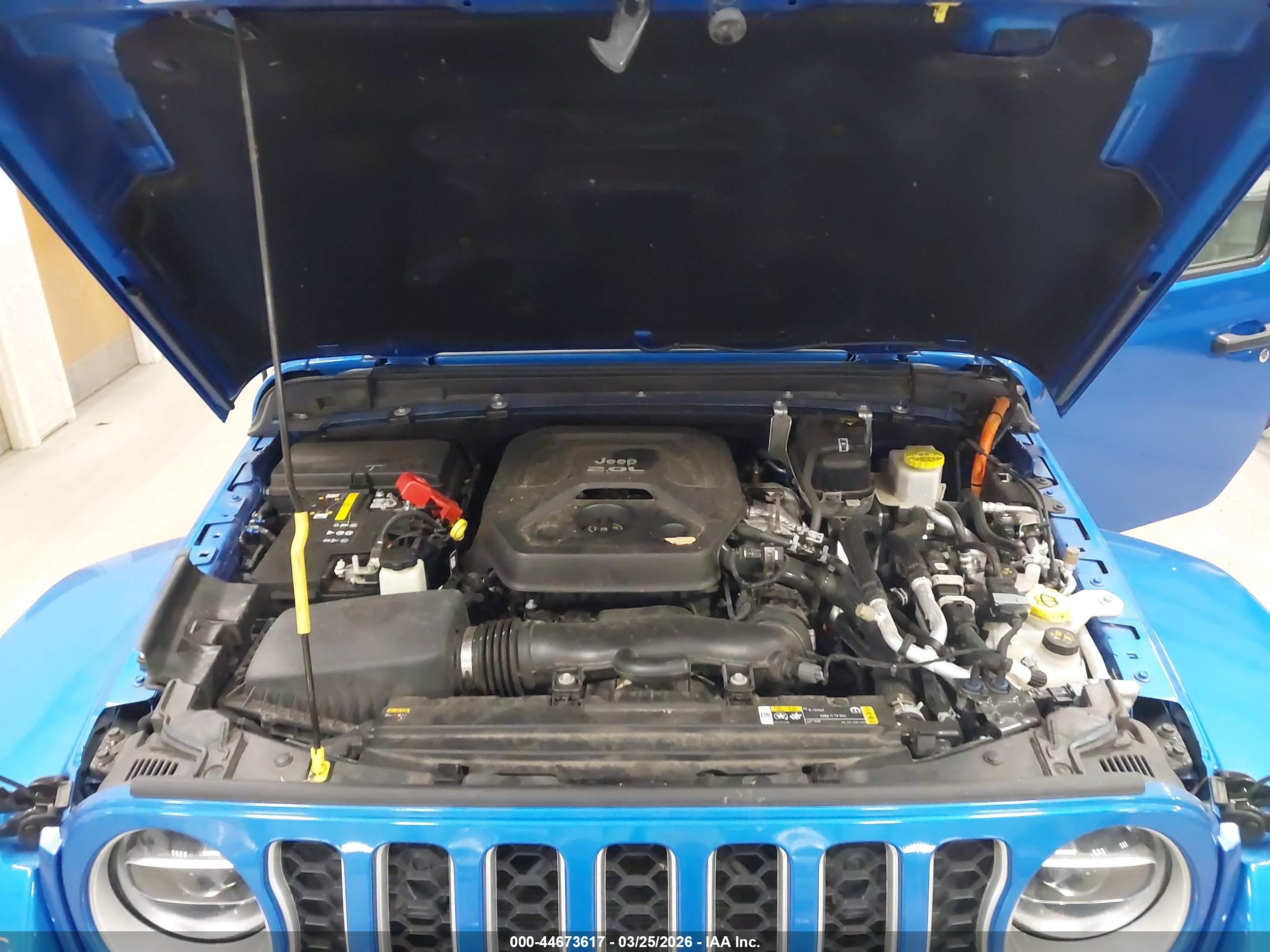 JEEP WRANGLER image 10