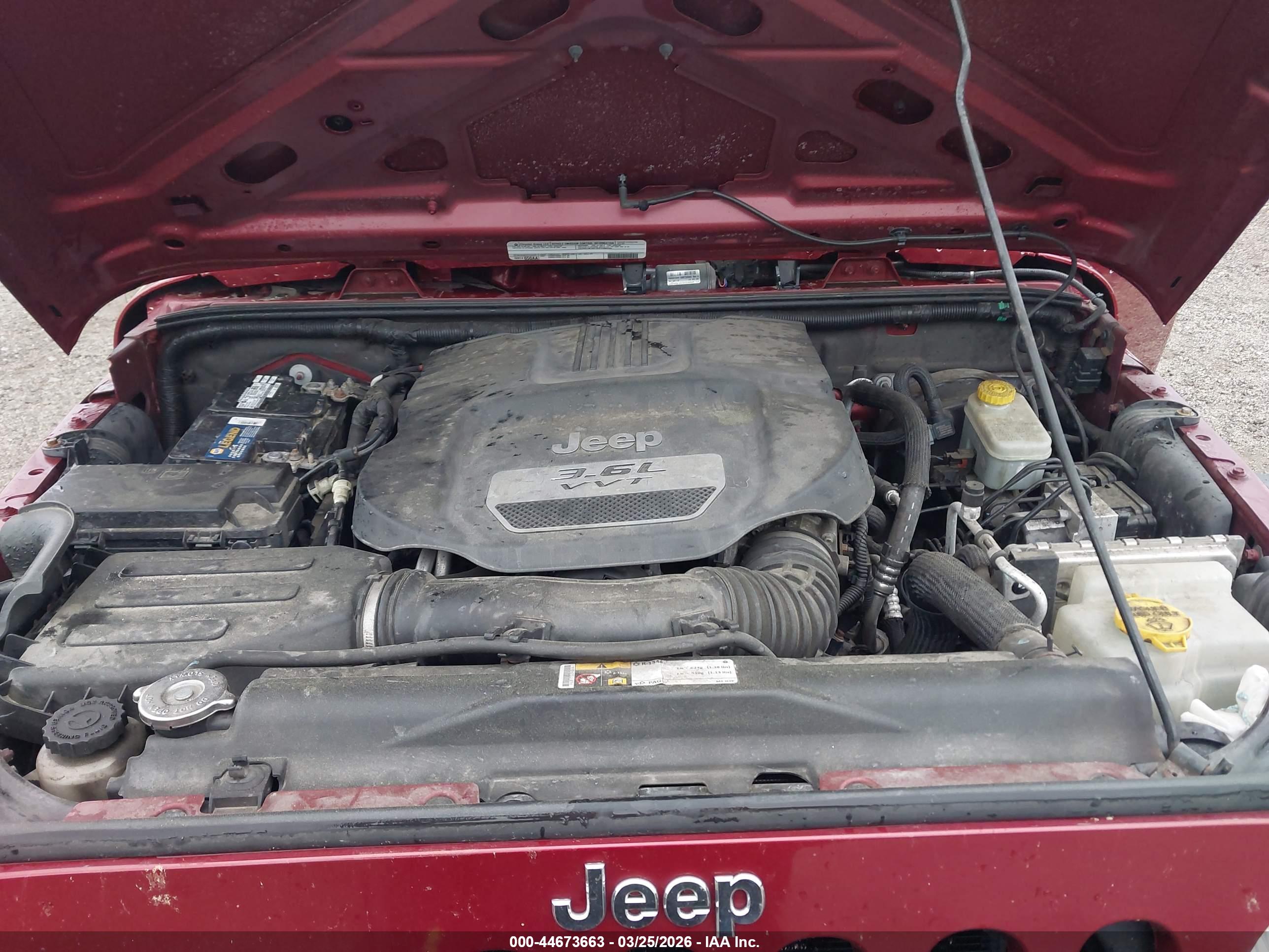JEEP WRANGLER image 10