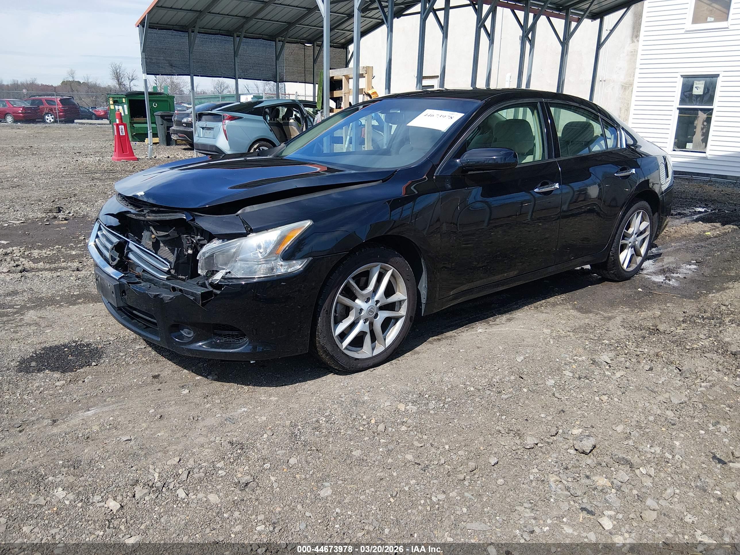 NISSAN MAXIMA image 2