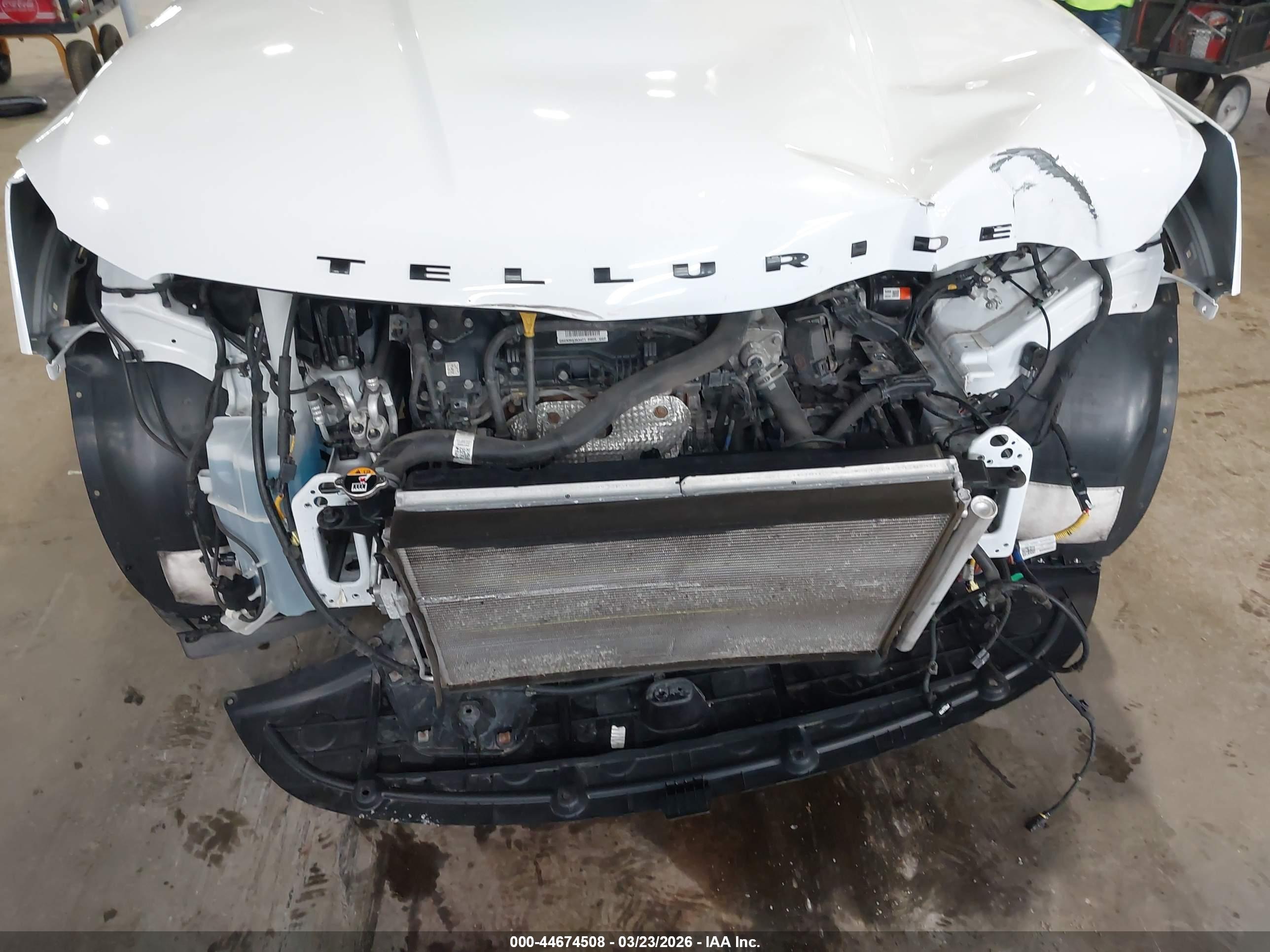 KIA TELLURIDE image 6