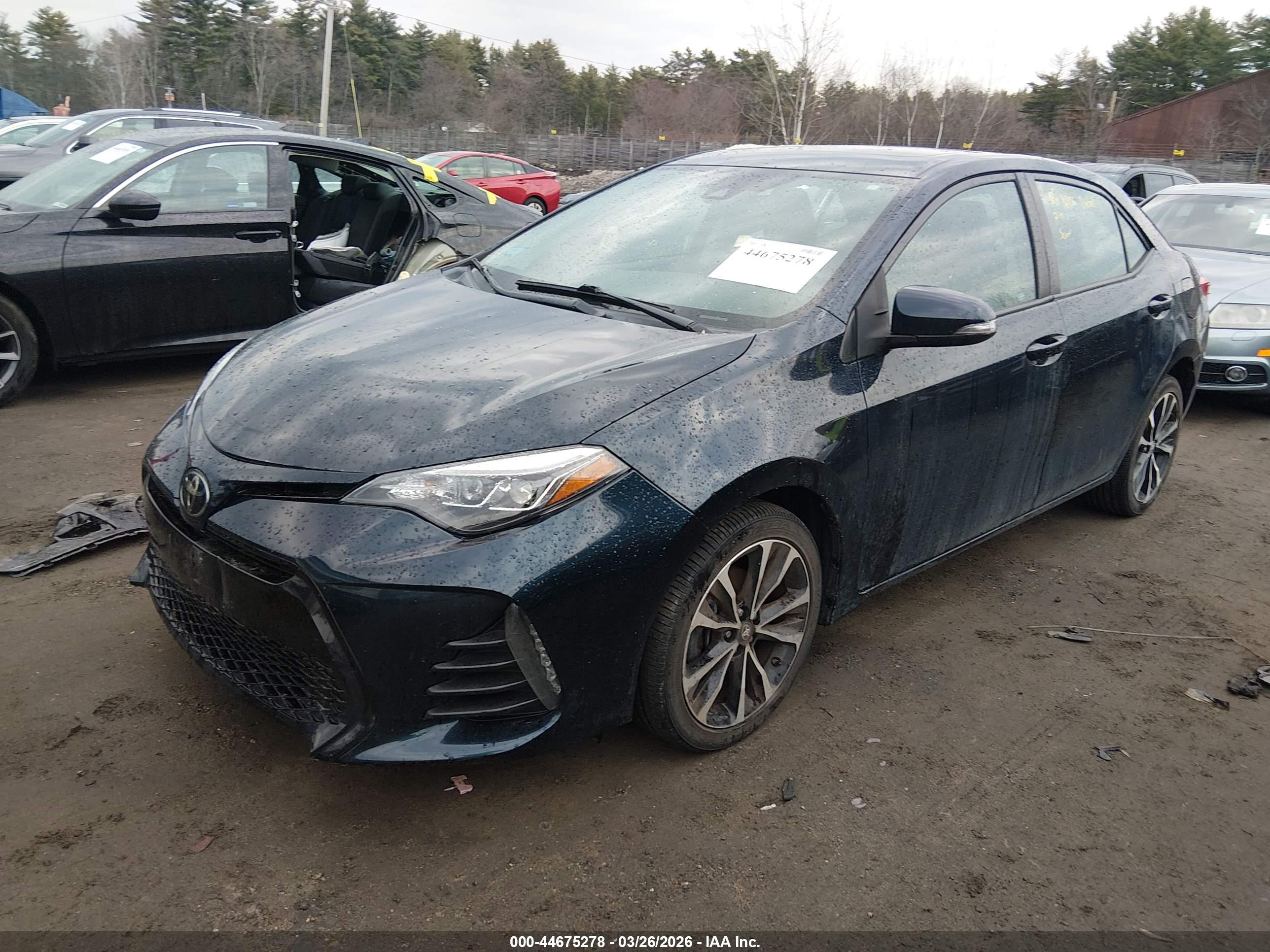 TOYOTA COROLLA image 2