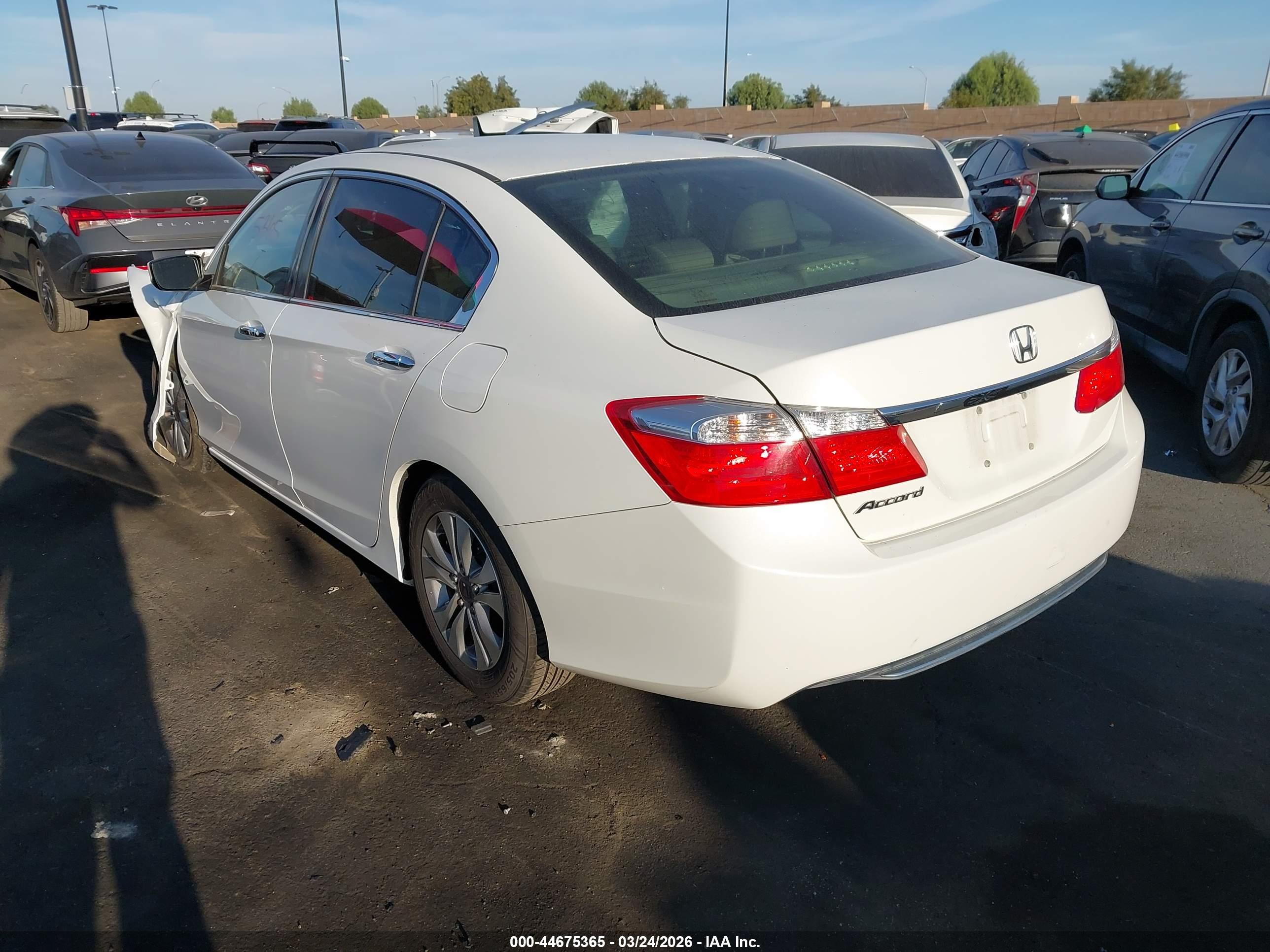 HONDA ACCORD image 3