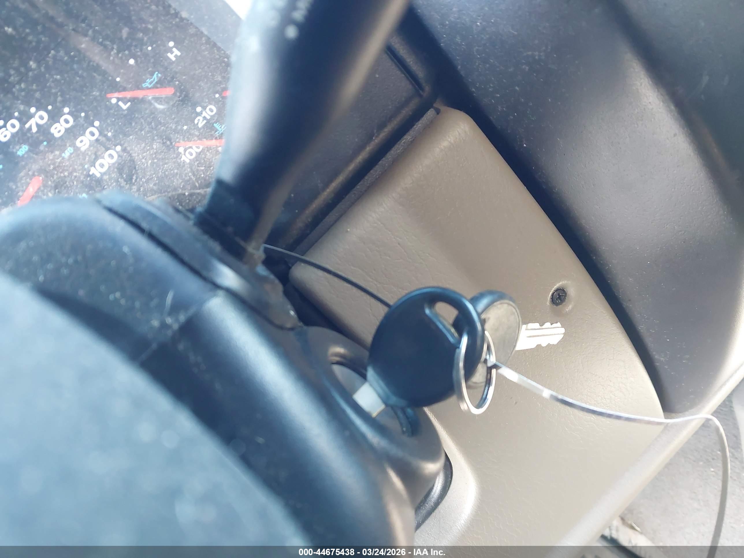 JEEP WRANGLER image 11