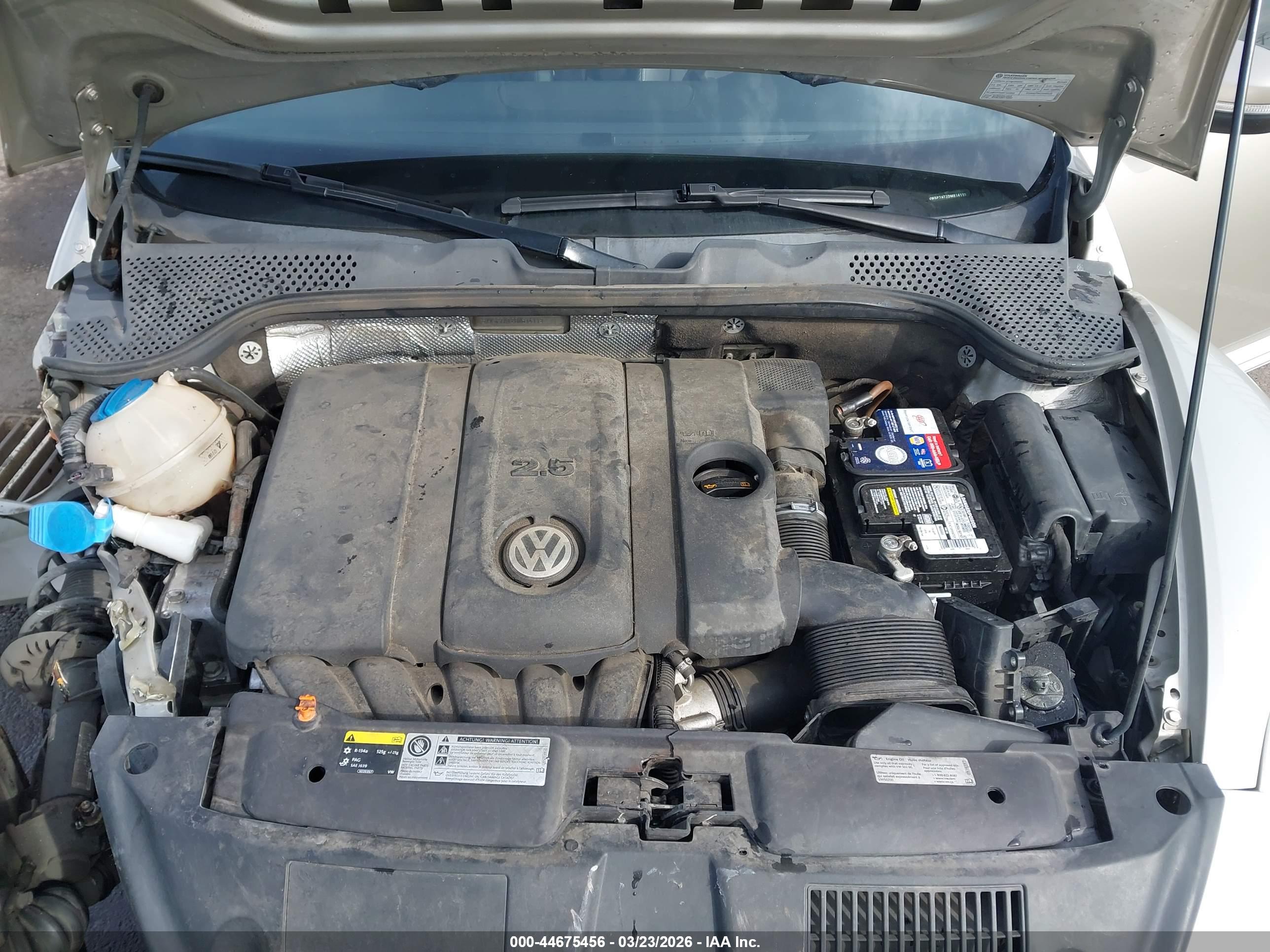 VOLKSWAGEN BEETLE image 10