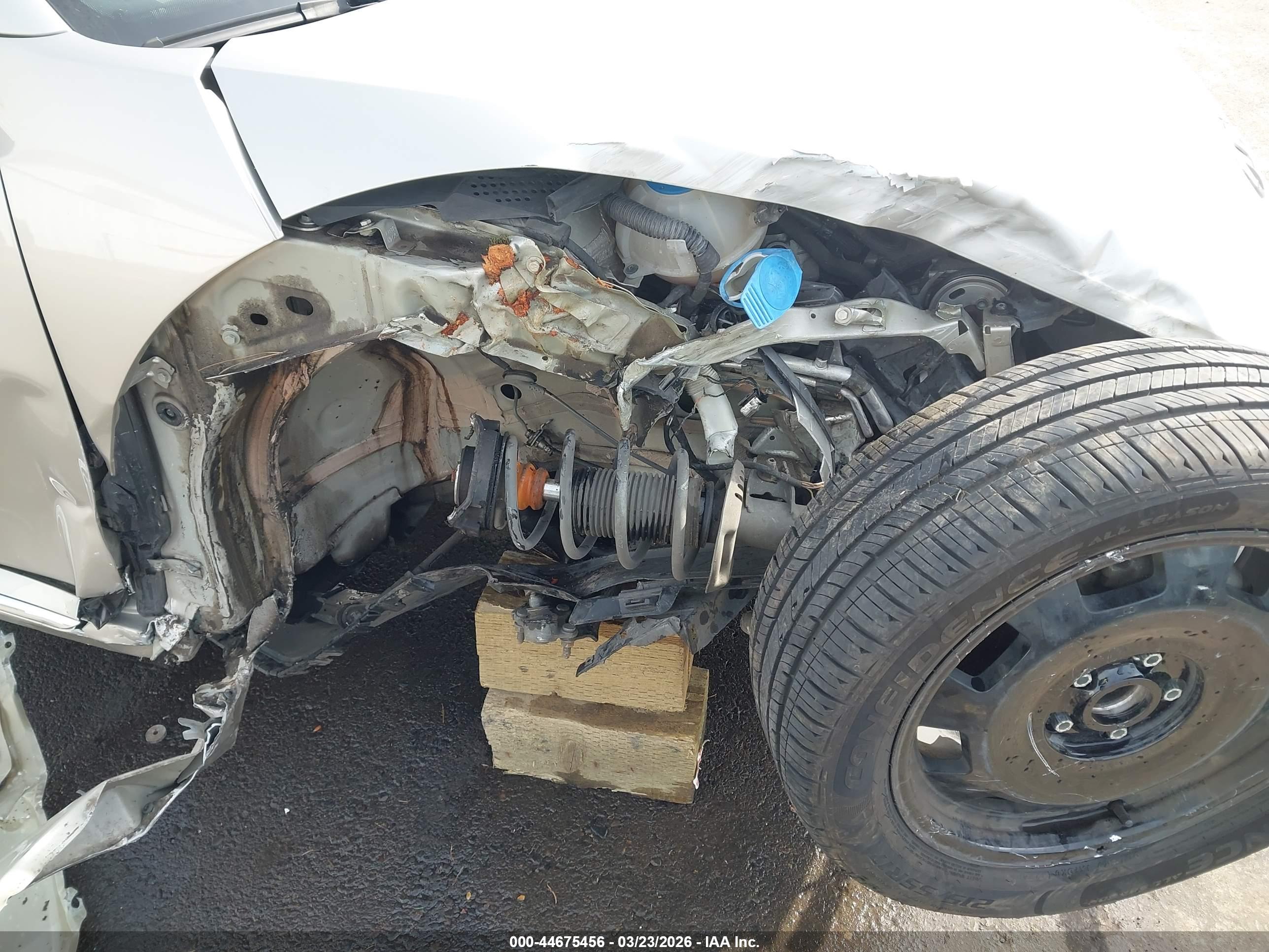 VOLKSWAGEN BEETLE image 6