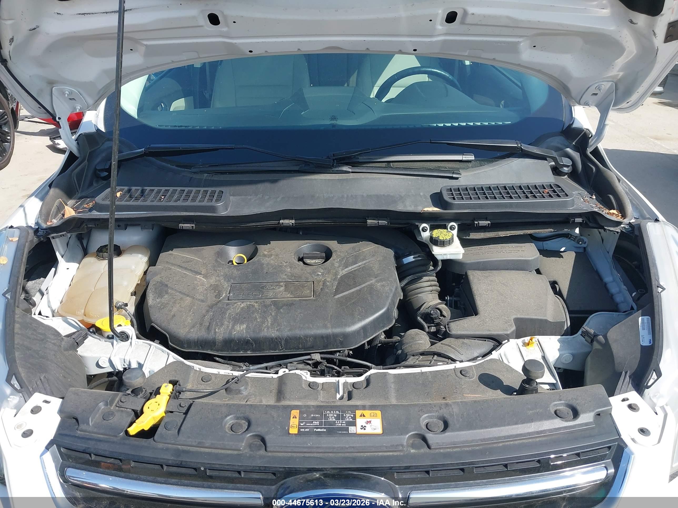 FORD ESCAPE image 10