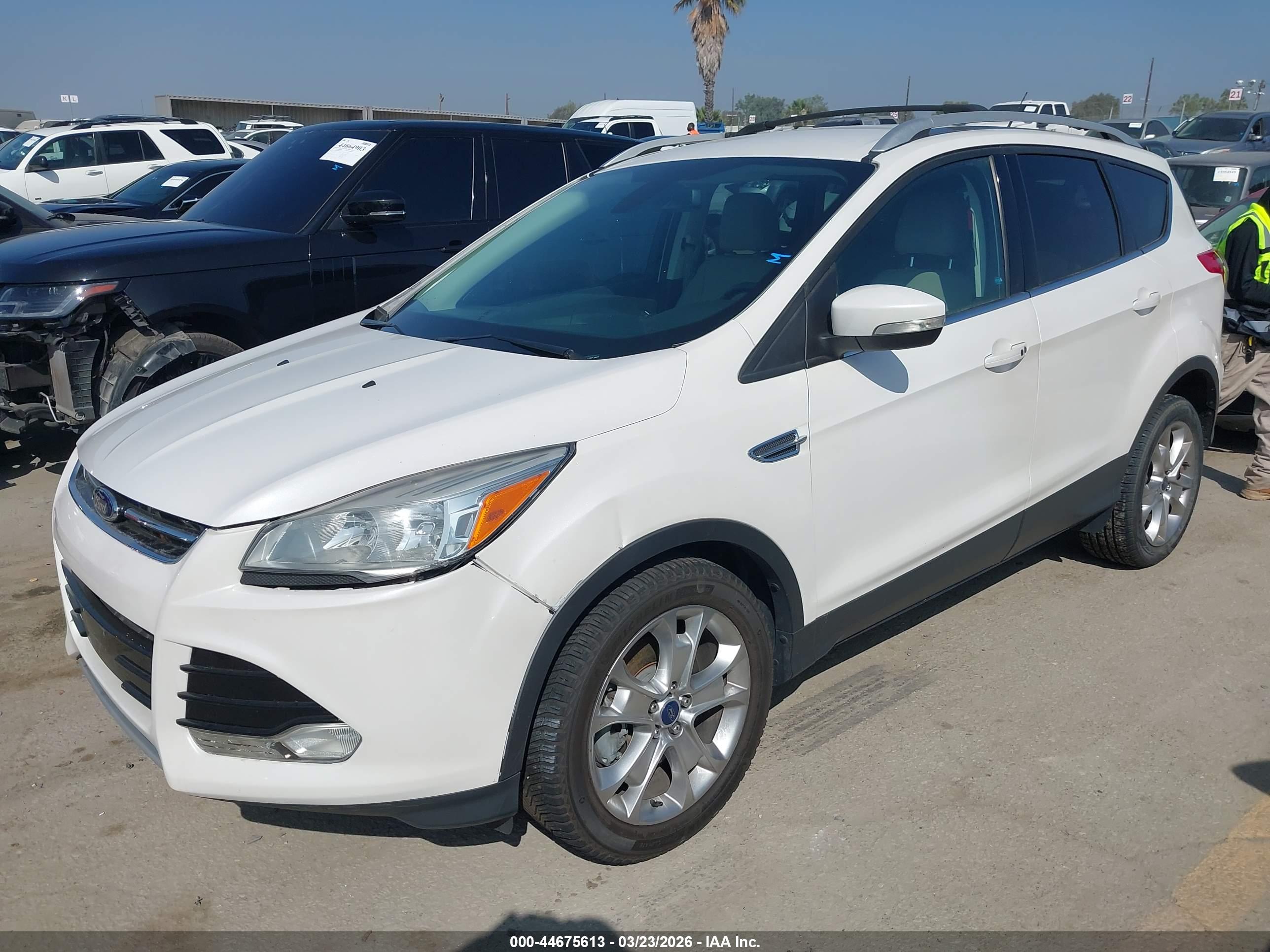 FORD ESCAPE image 2