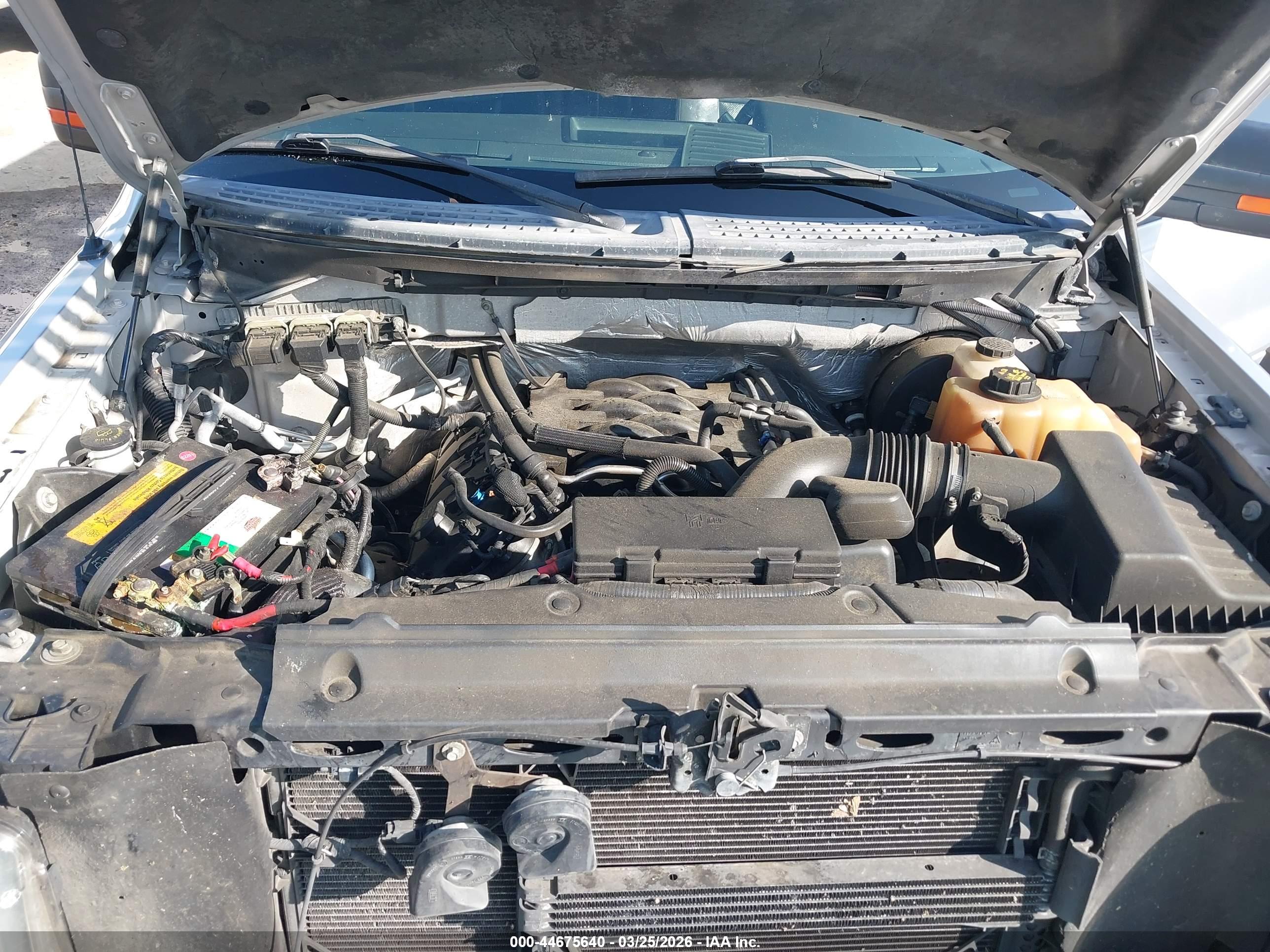 FORD F-150 image 10