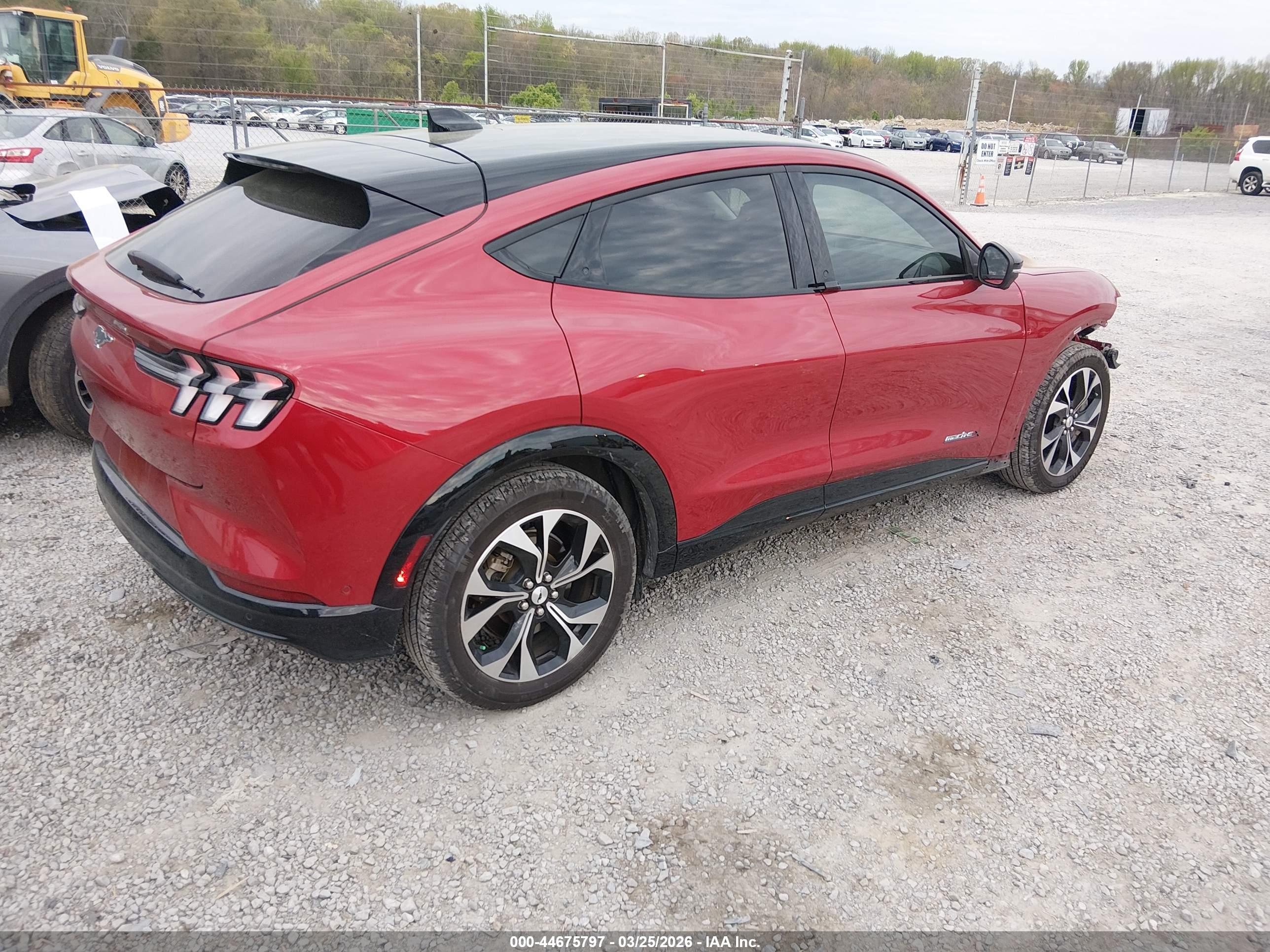 FORD MUSTANG image 4