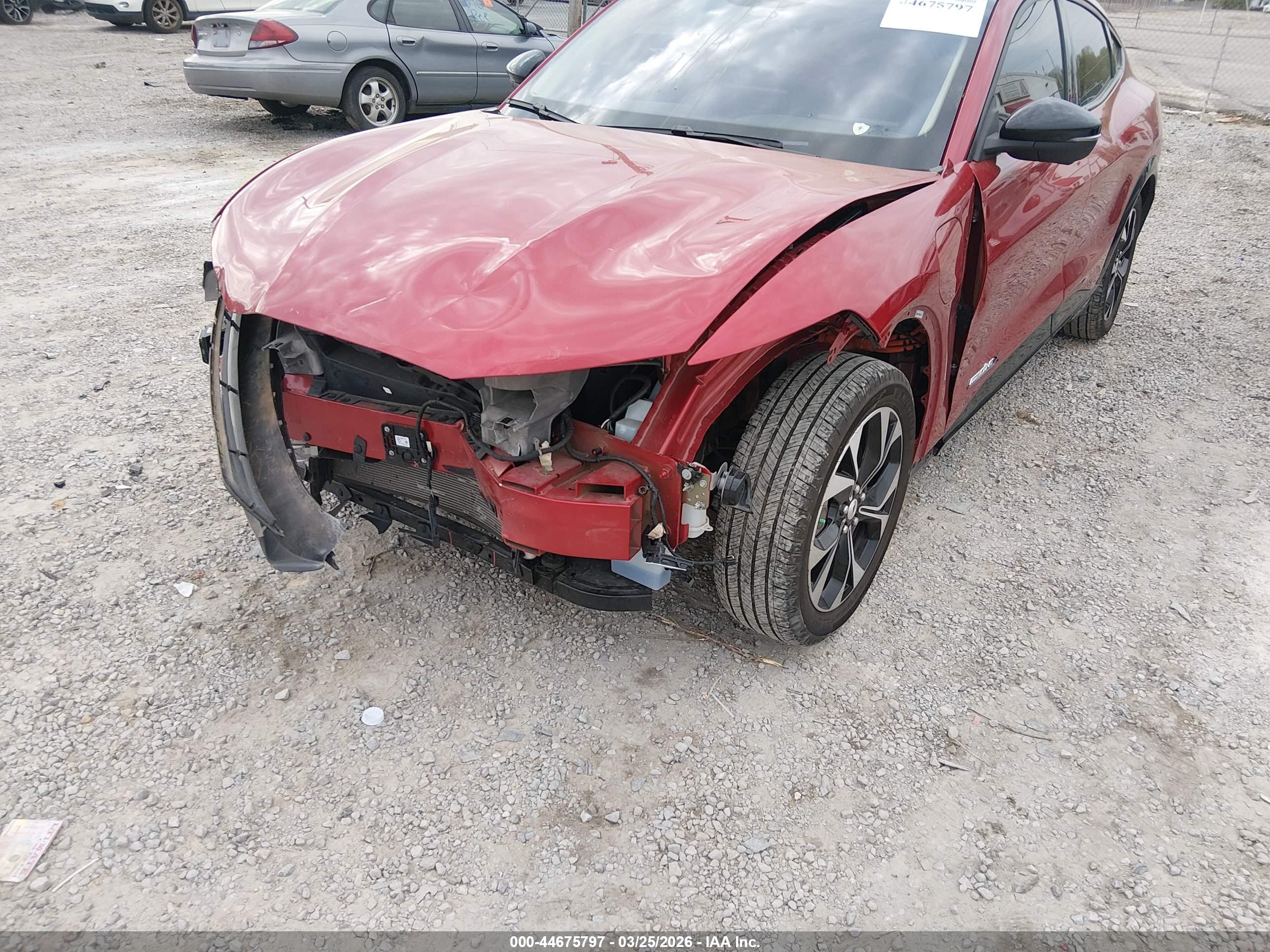 FORD MUSTANG image 6