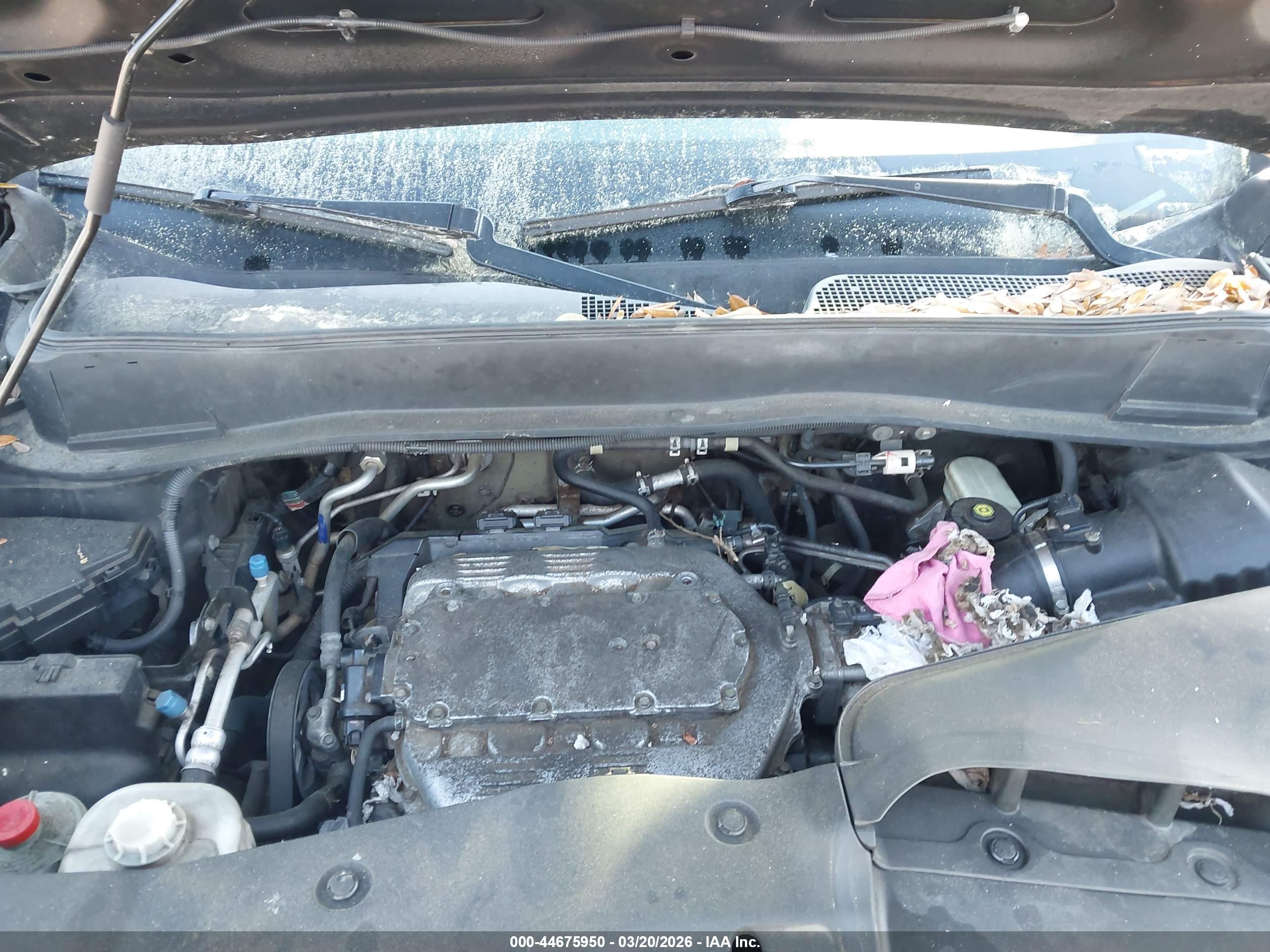 HONDA PILOT image 10