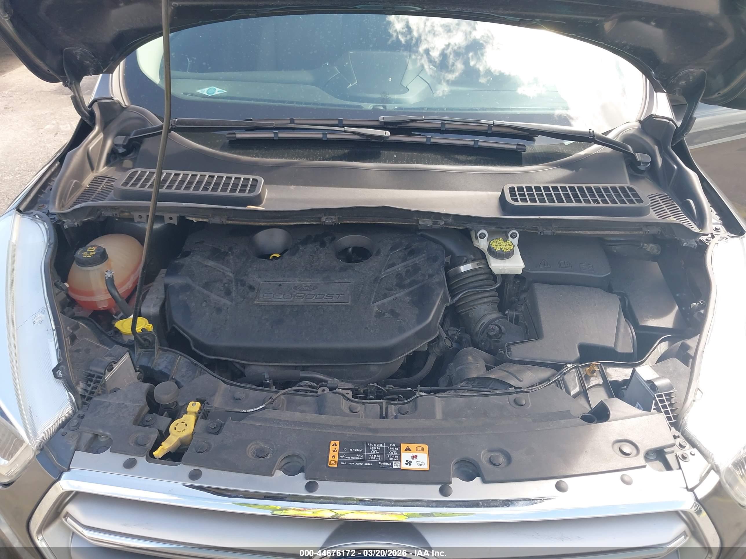 FORD ESCAPE image 10