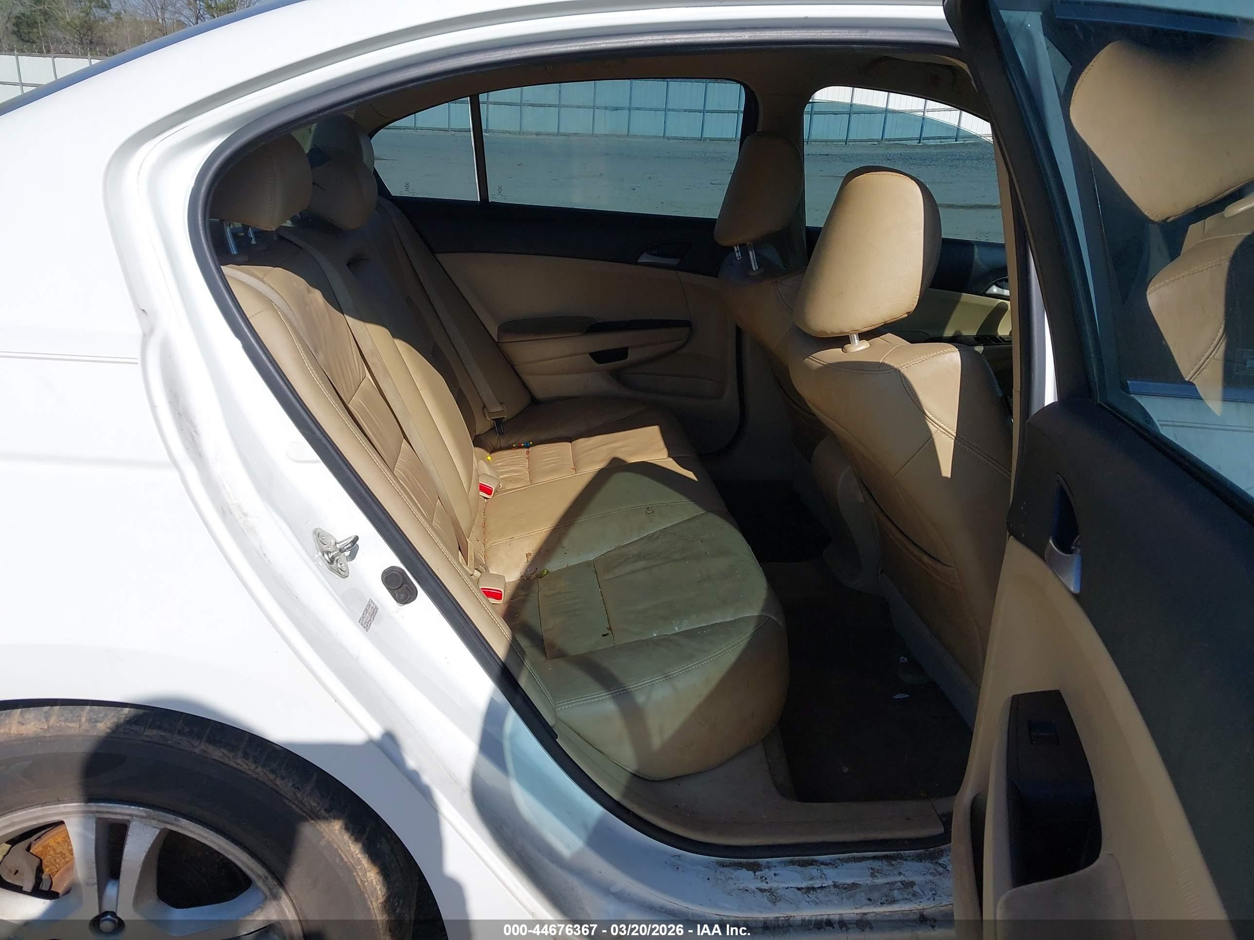 HONDA ACCORD image 8