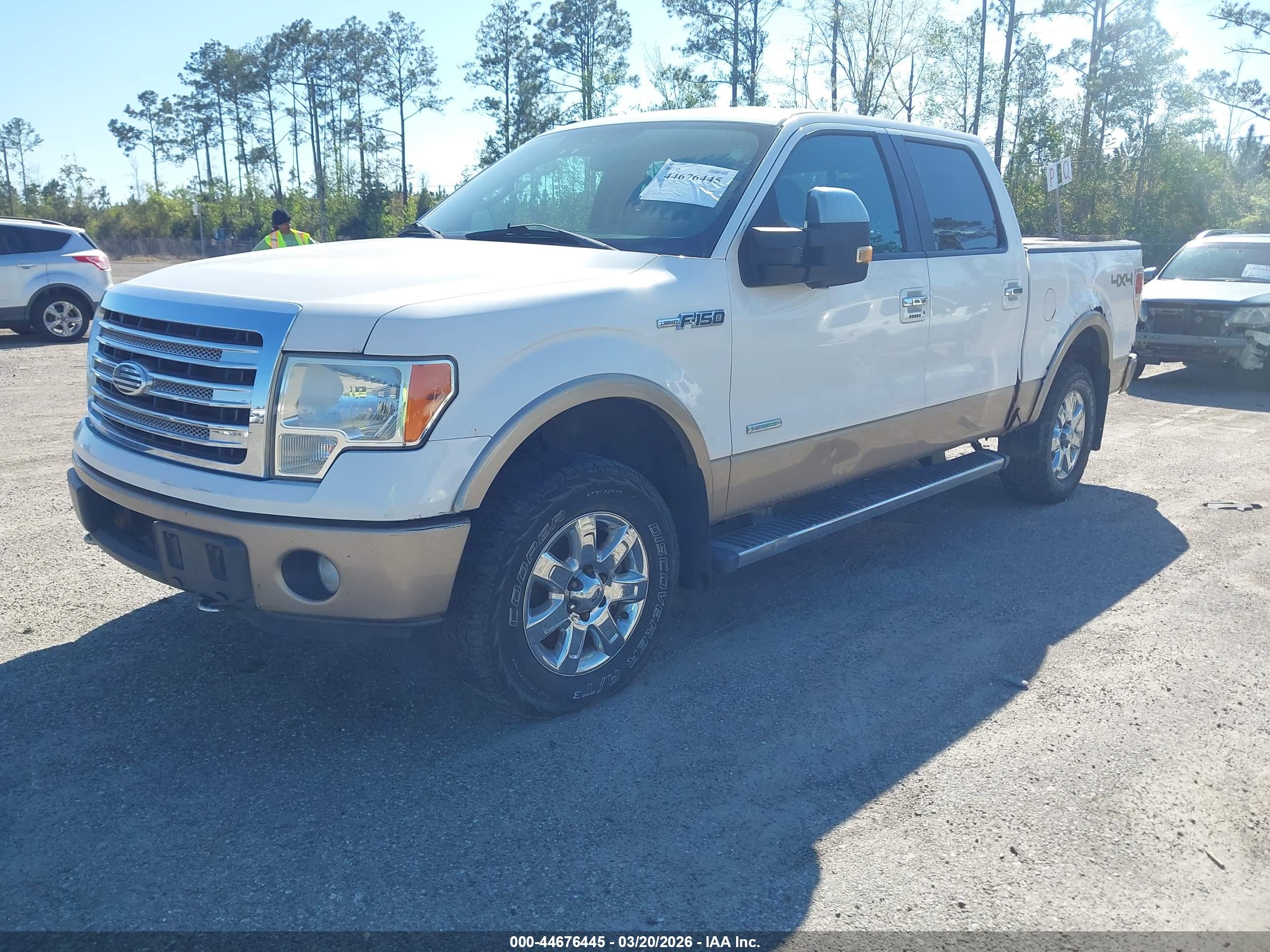 FORD F-150 image 2