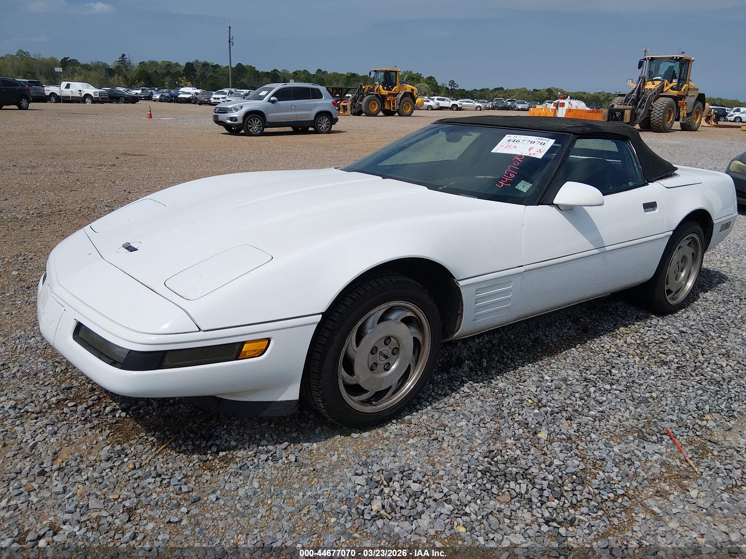 CHEVROLET CORVETTE image 2