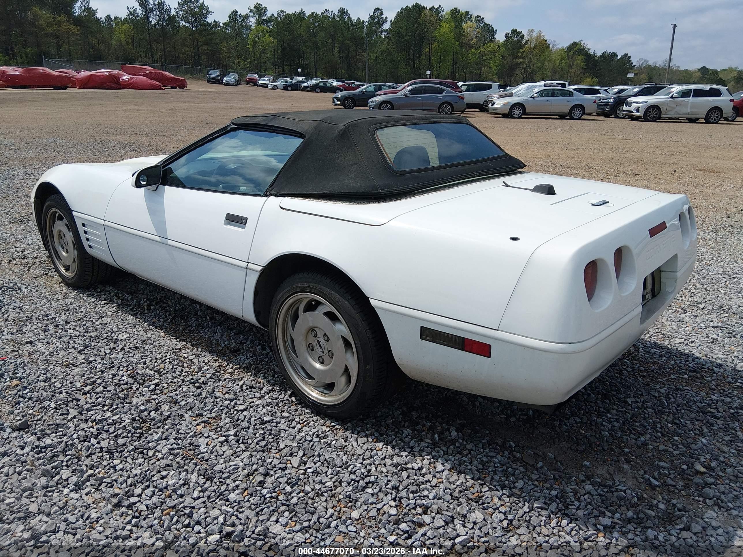 CHEVROLET CORVETTE image 3