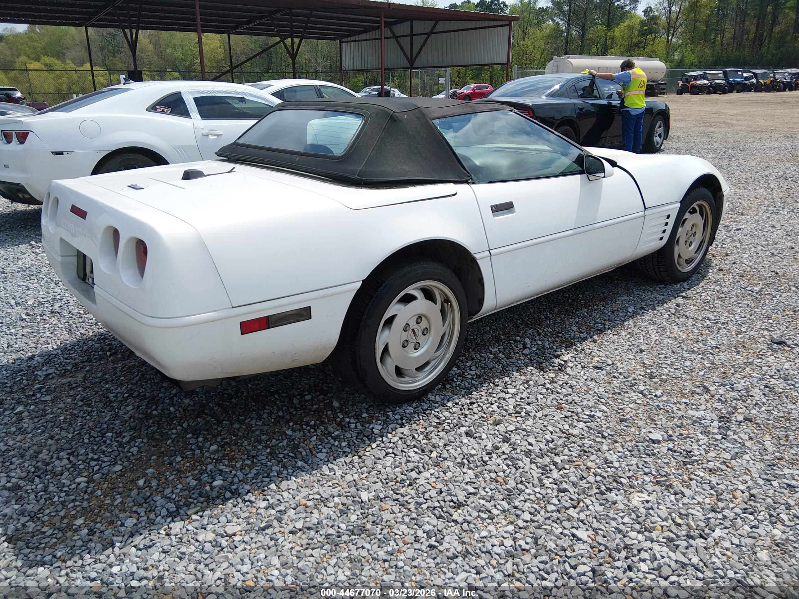 CHEVROLET CORVETTE image 4