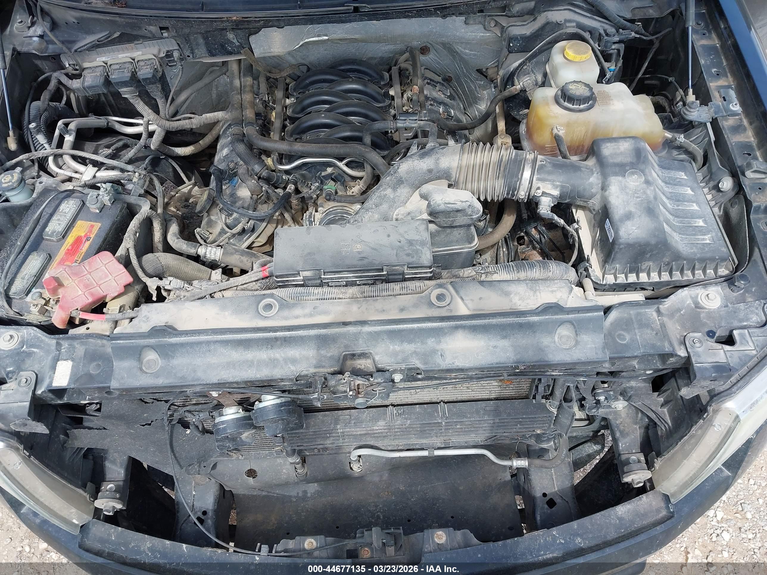FORD F-150 image 10