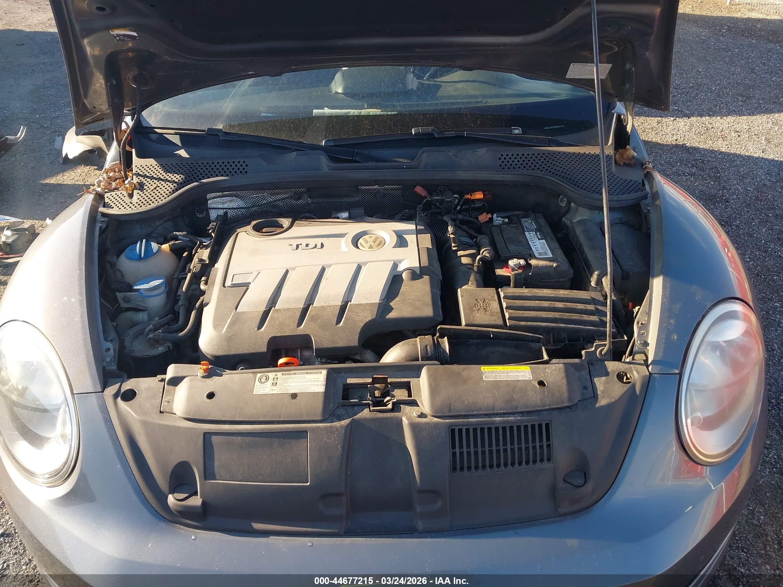 VOLKSWAGEN BEETLE image 10