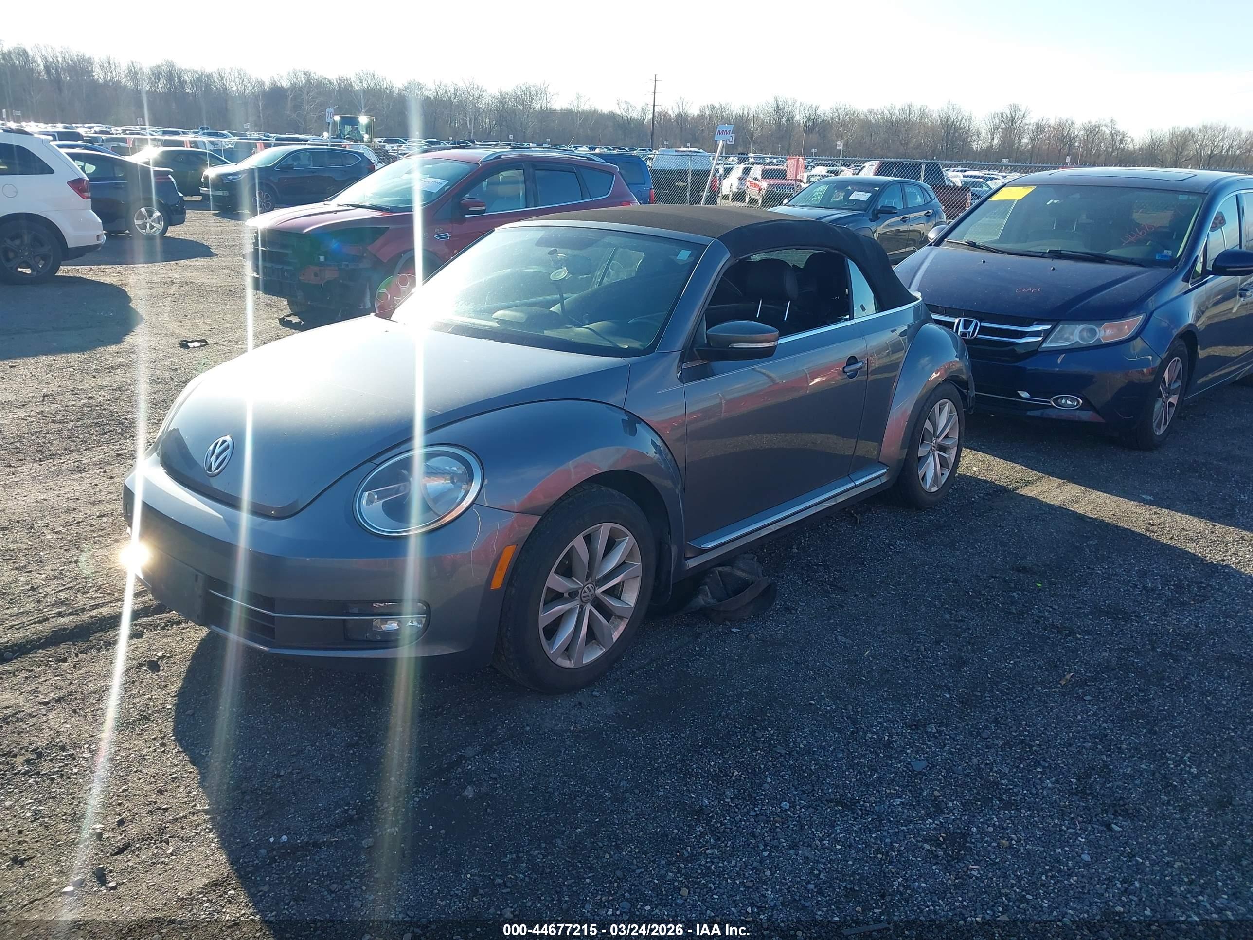 VOLKSWAGEN BEETLE image 2