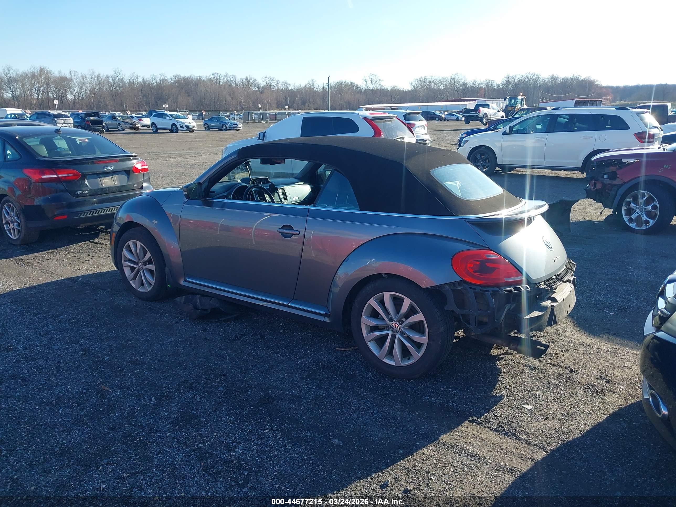 VOLKSWAGEN BEETLE image 3