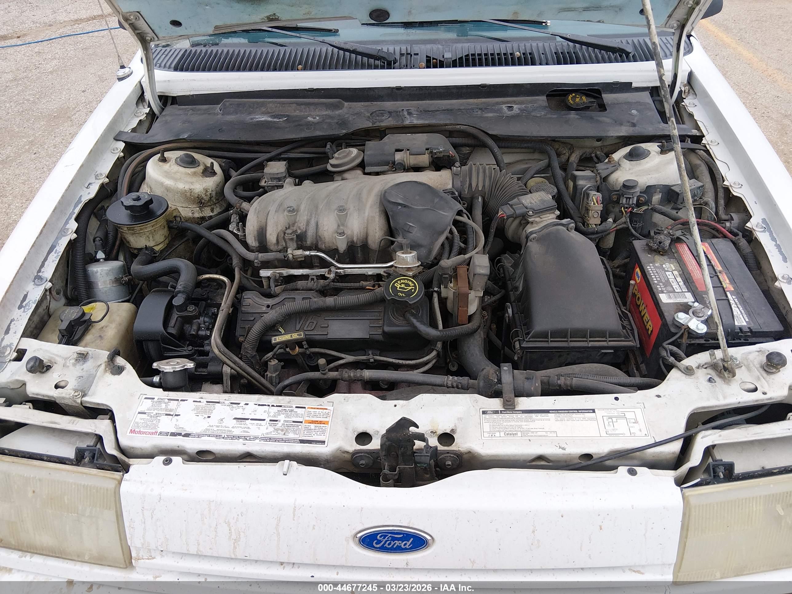 FORD TEMPO image 10