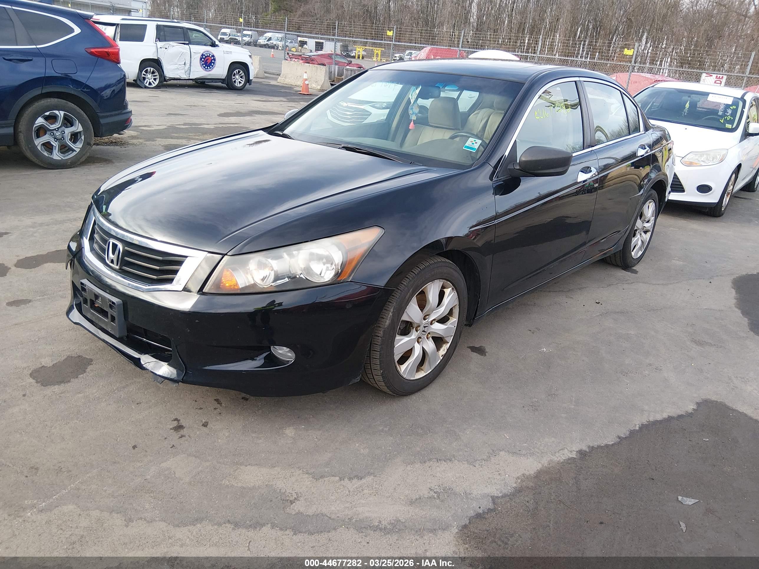 HONDA ACCORD image 2
