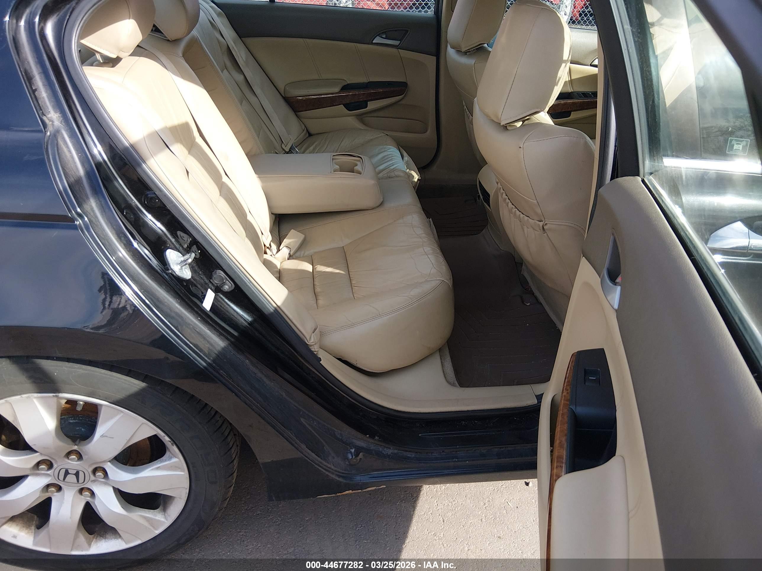 HONDA ACCORD image 8