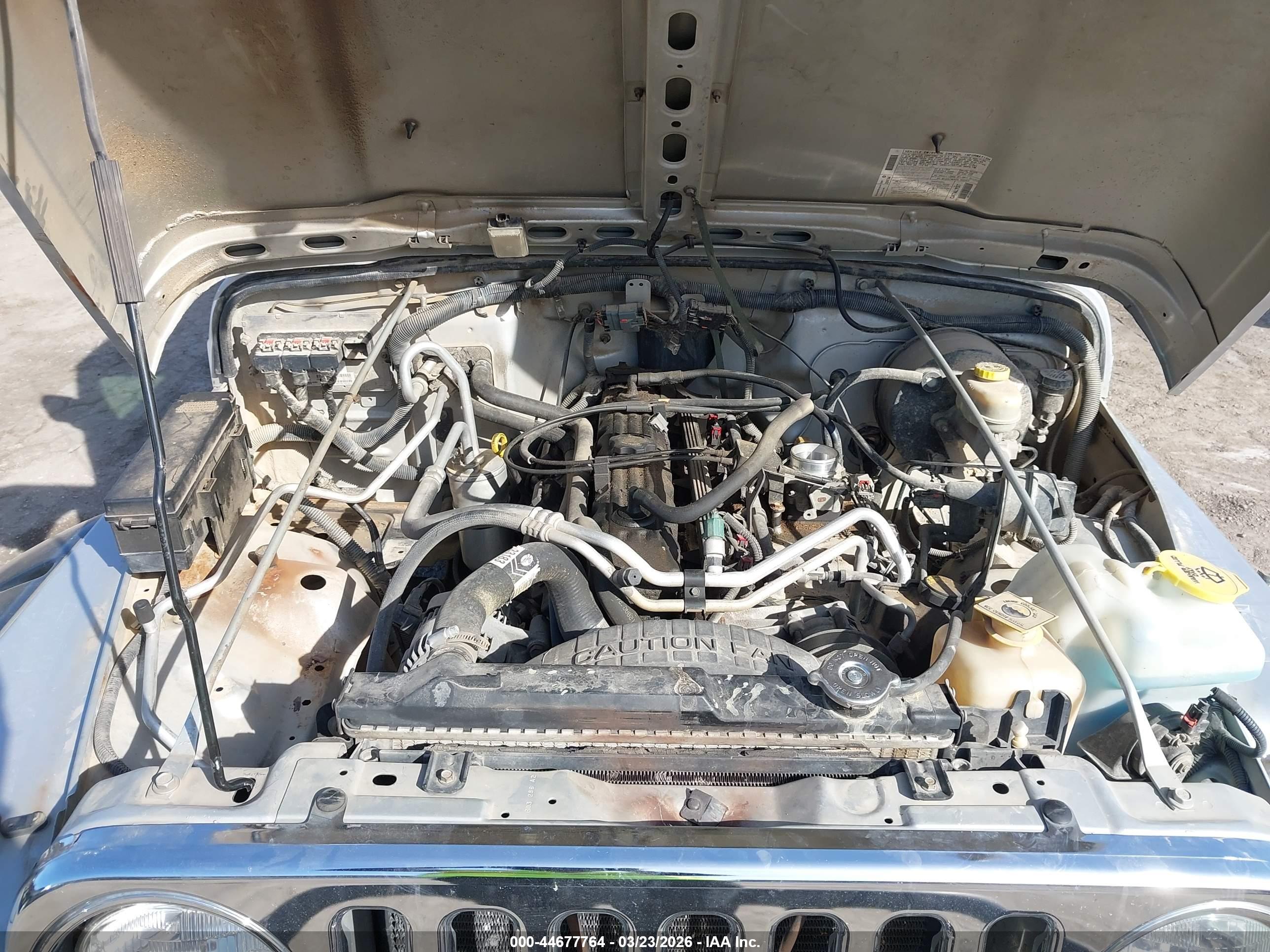 JEEP WRANGLER image 10