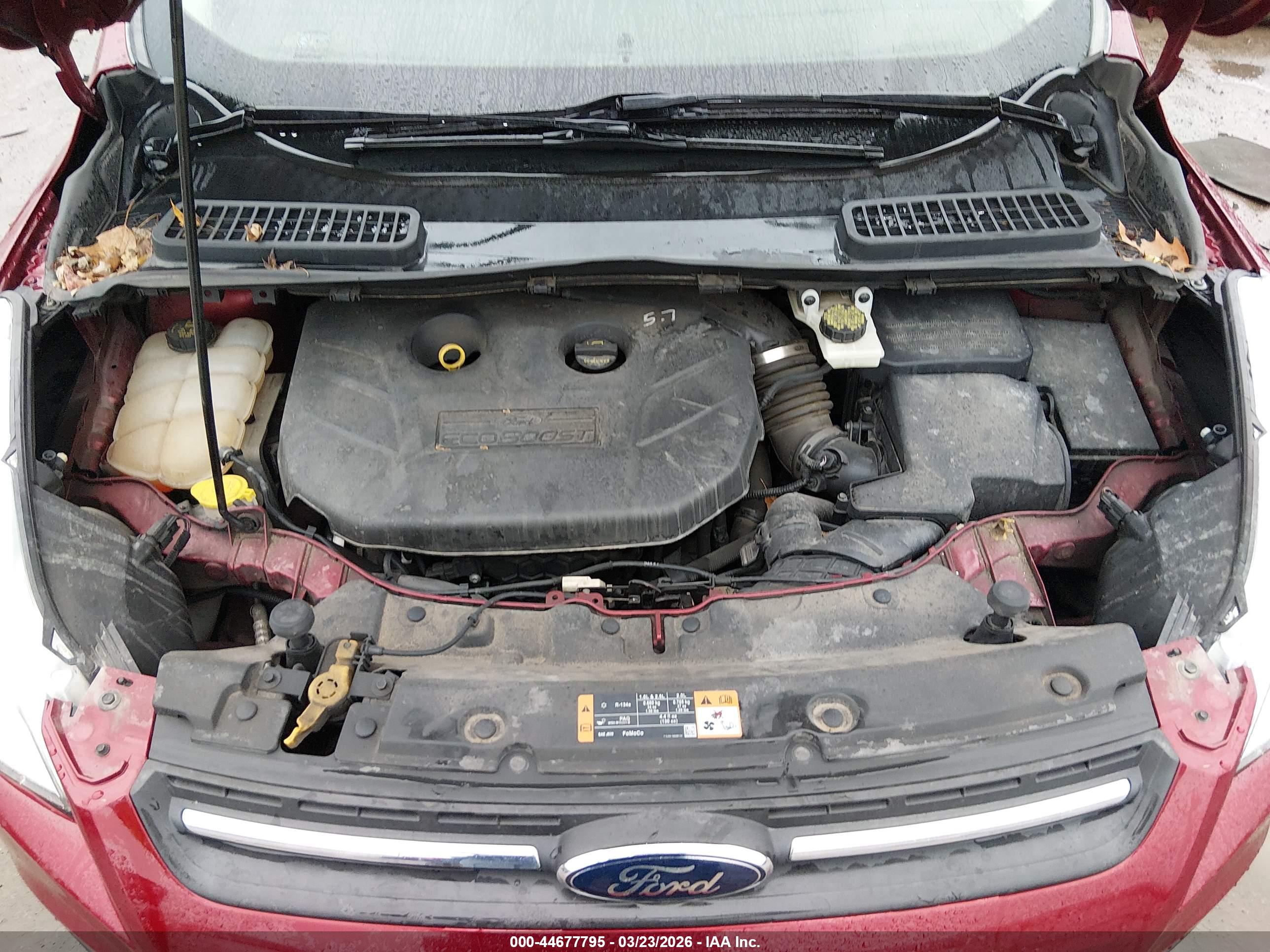FORD ESCAPE image 10