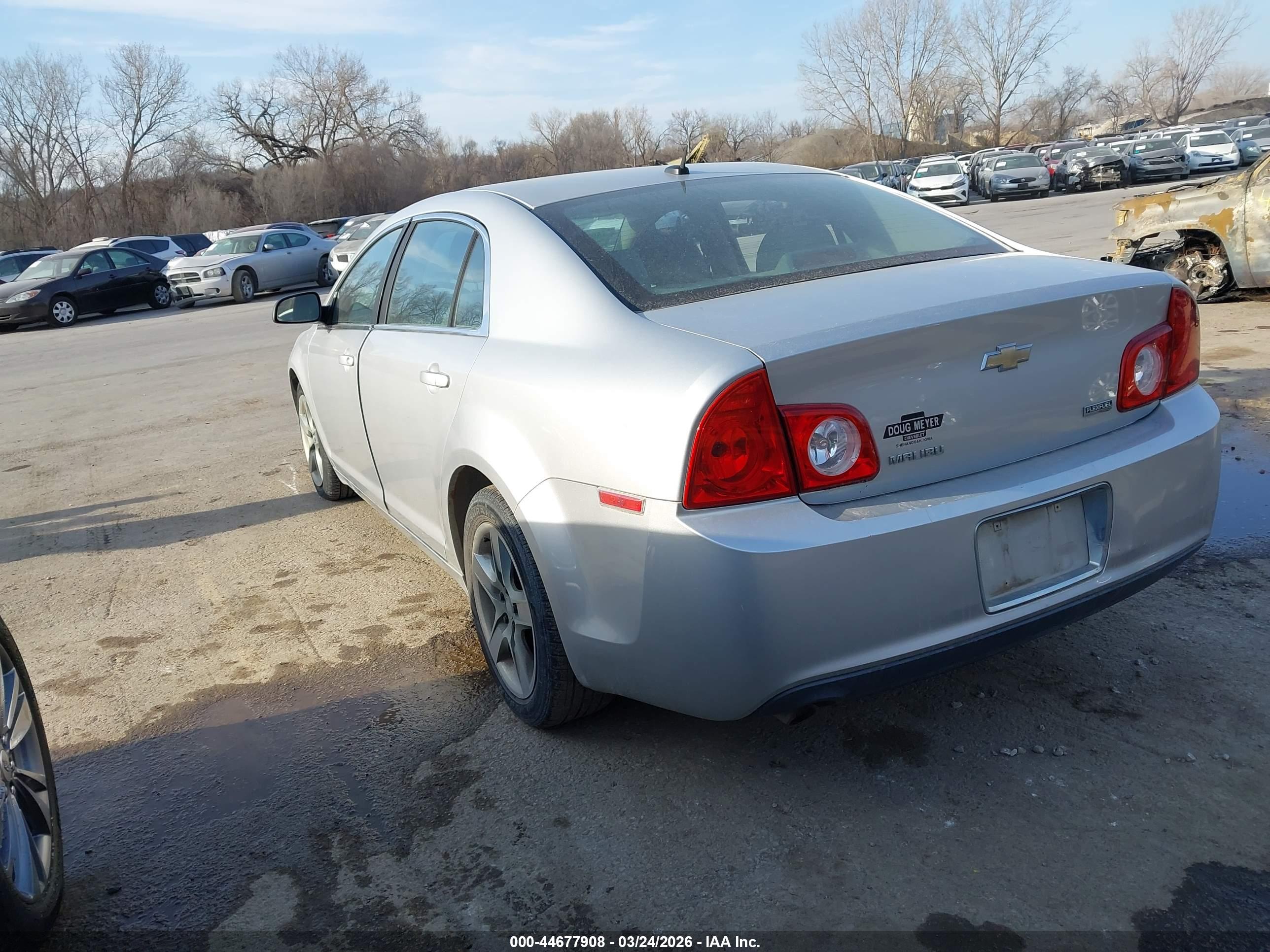 CHEVROLET MALIBU image 3