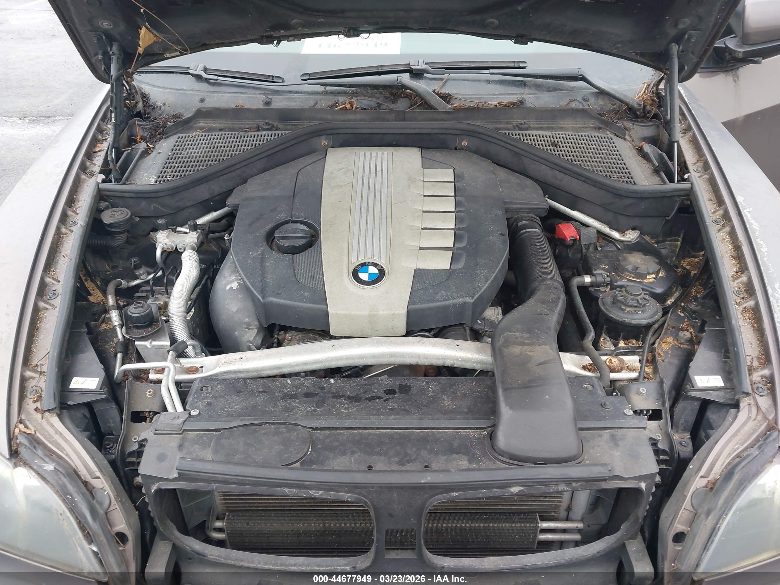 BMW X5 image 10