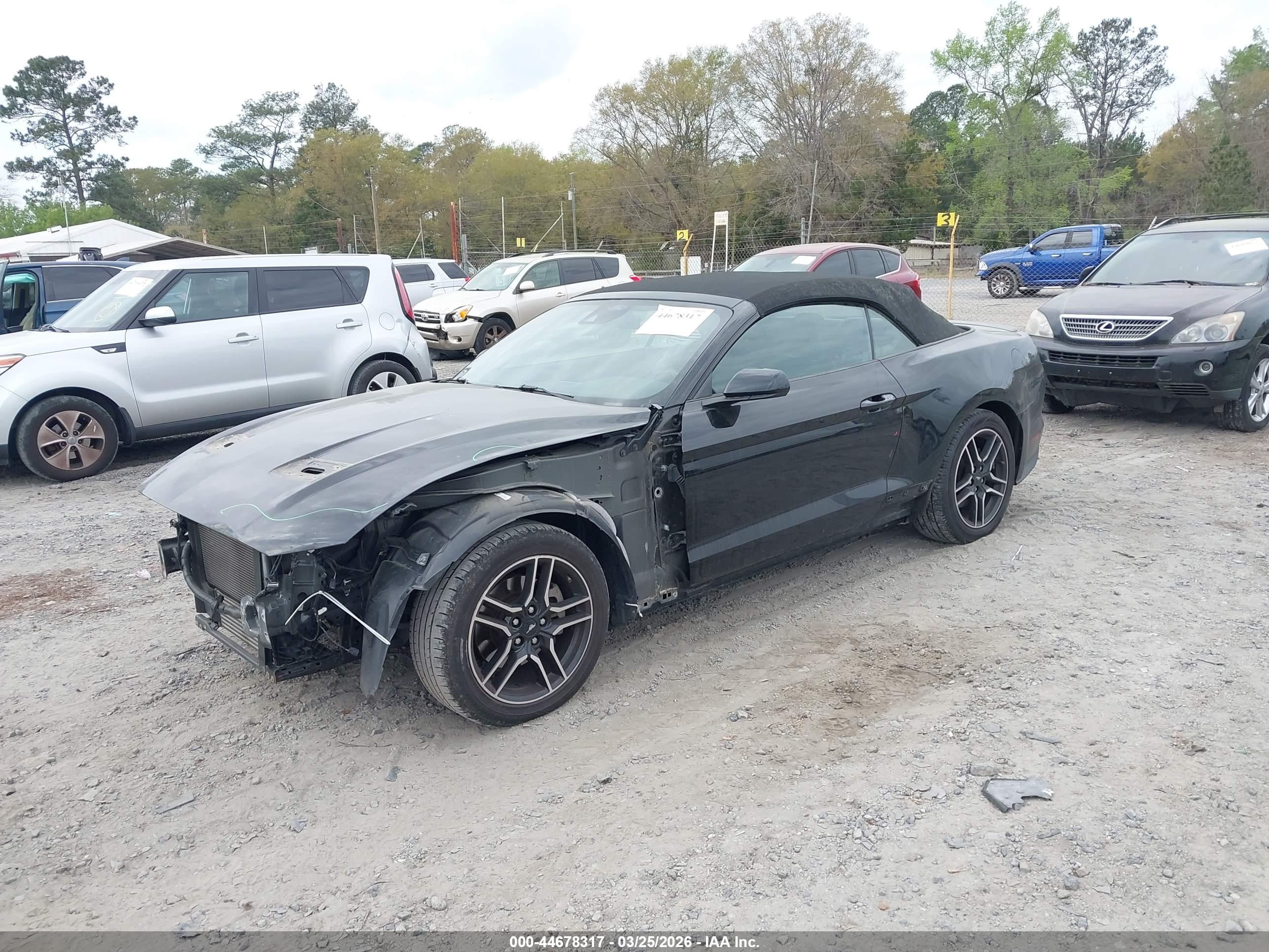 FORD MUSTANG image 2