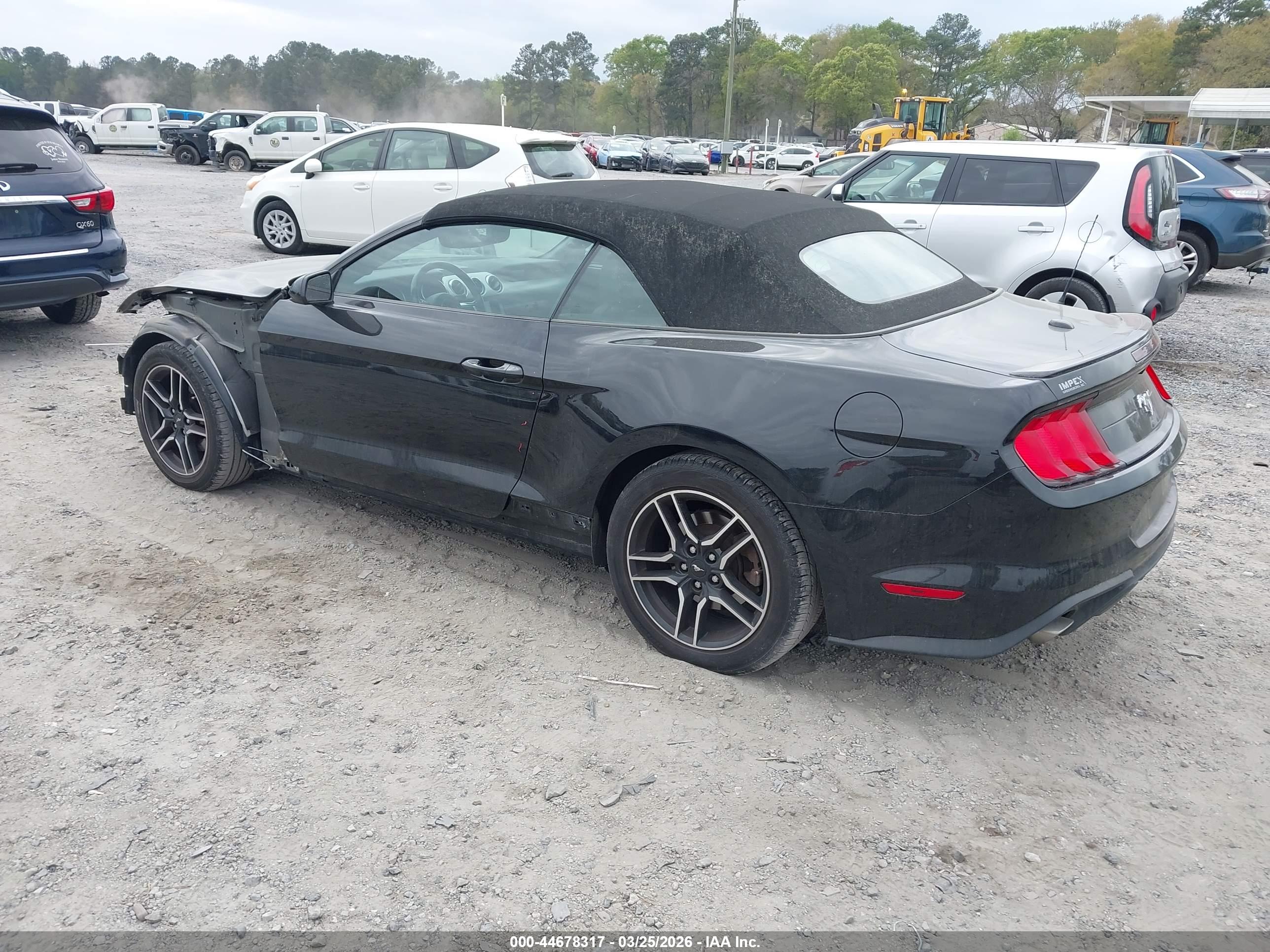 FORD MUSTANG image 3